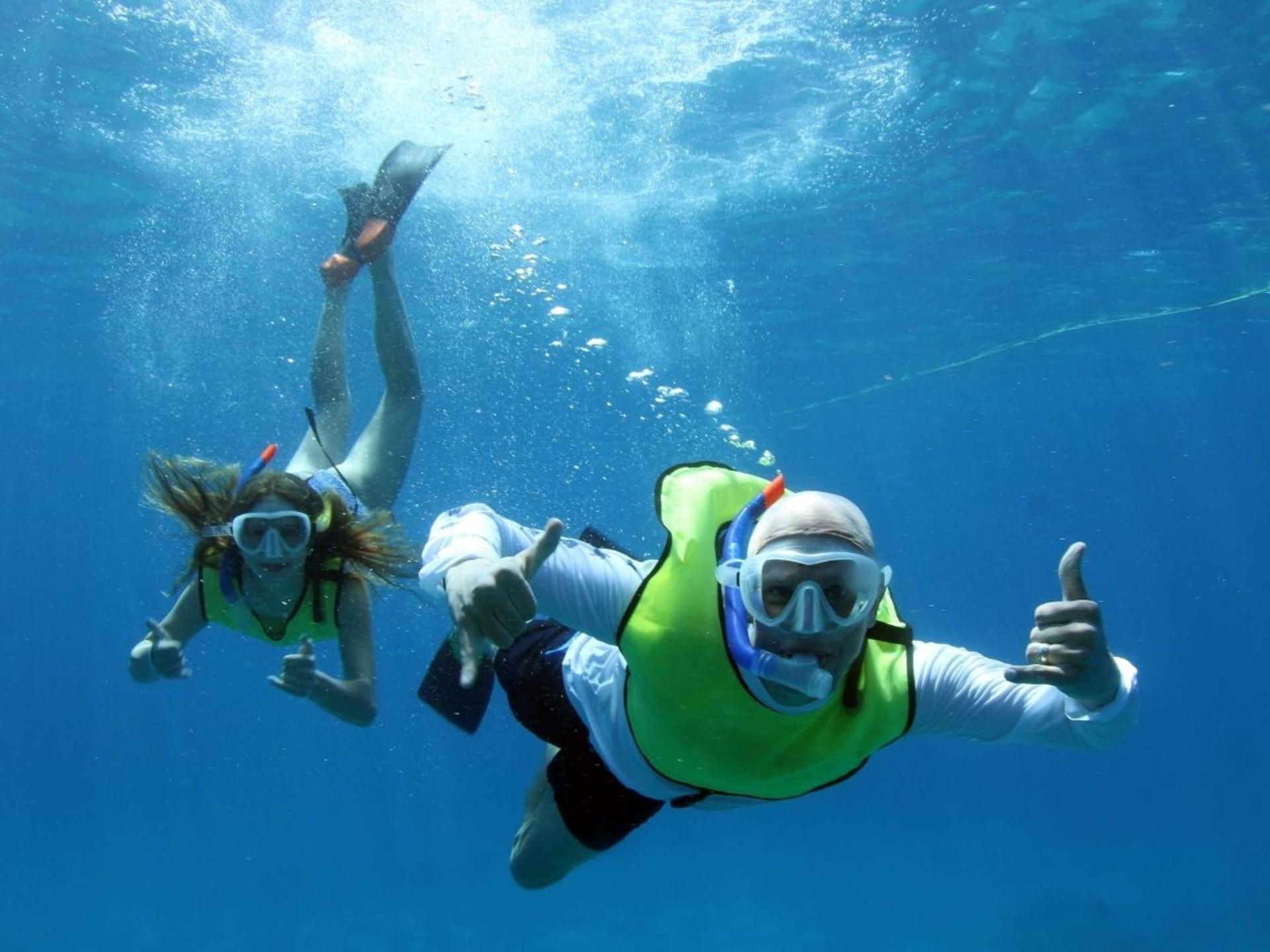 Luxury Morning Snorkel Cruise with Dolphin Watching in Oahu - Thumbnail 14
