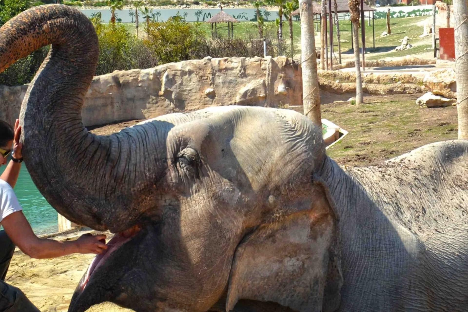 Terra Natura ticket in Benidorm - Thumbnail 6