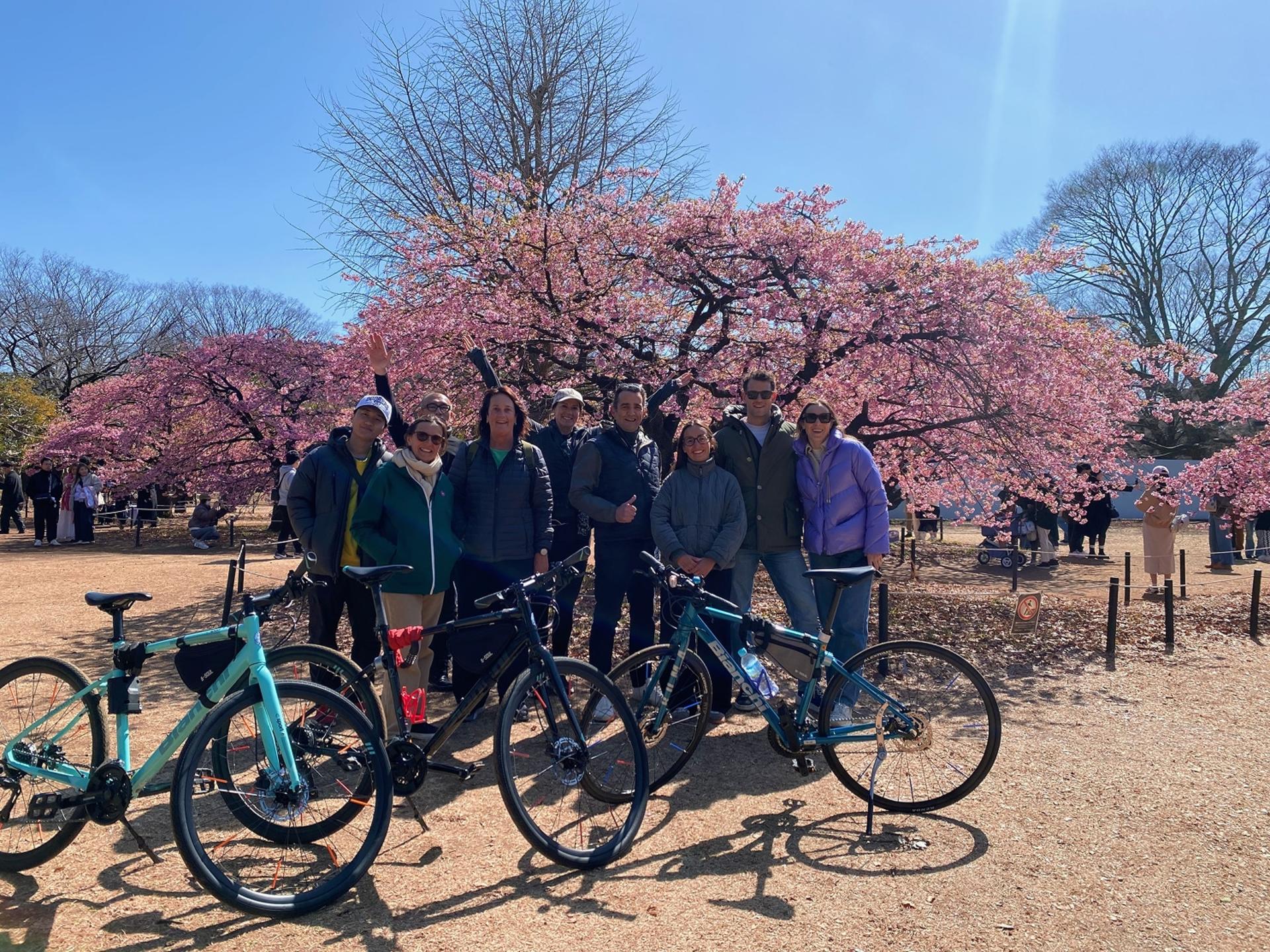 Tokyo 3-Hour Bike/E-bike Tour of the Central City Areas - Thumbnail 2