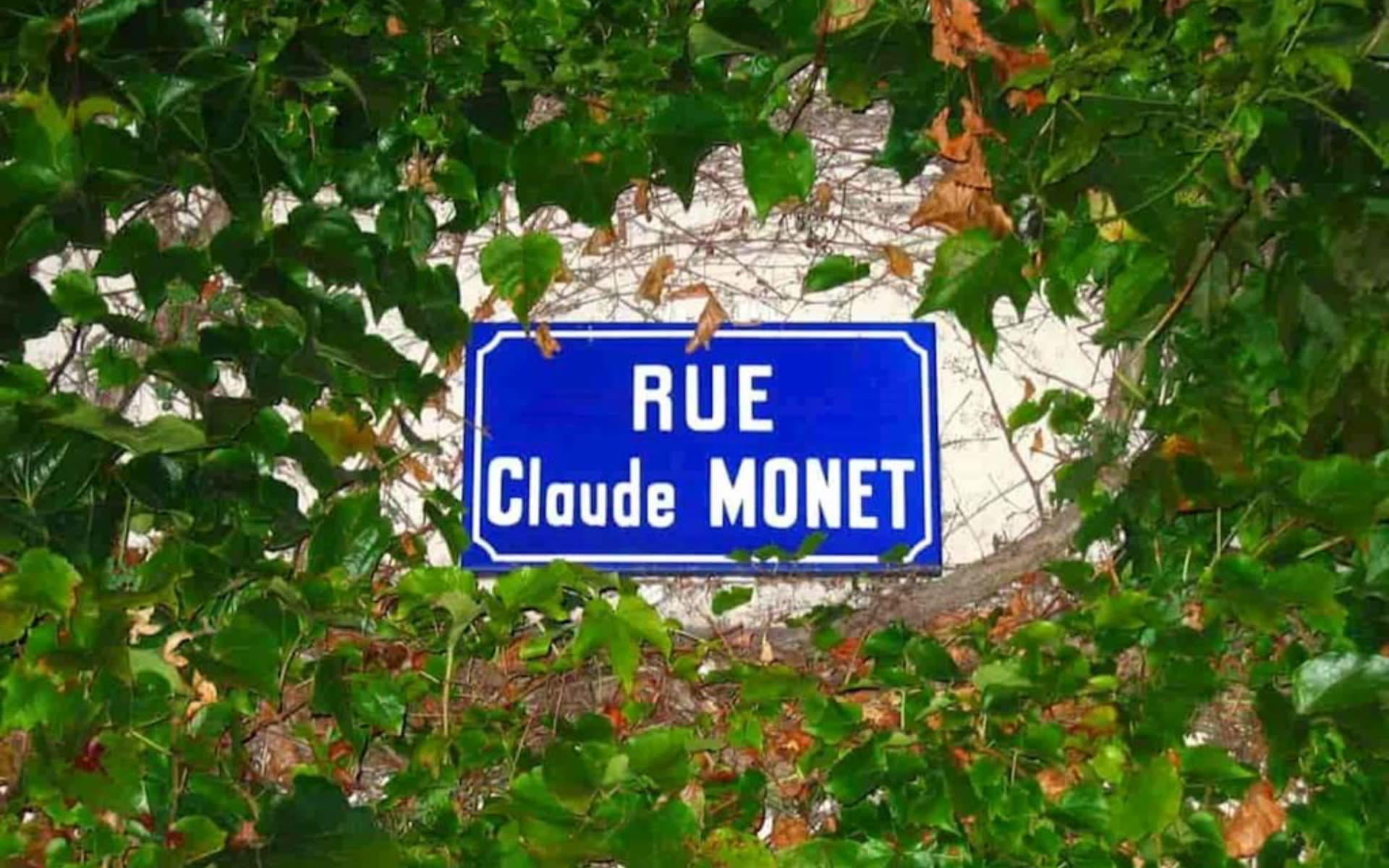 Paris Versailles & Monet's House Full-Day Guided Tour - Thumbnail 8