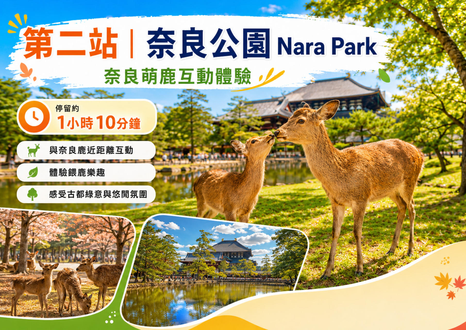 Kyoto & Nara tour - Arashiyama & Fushimi Inari Shrine & Nara Park - Thumbnail 7