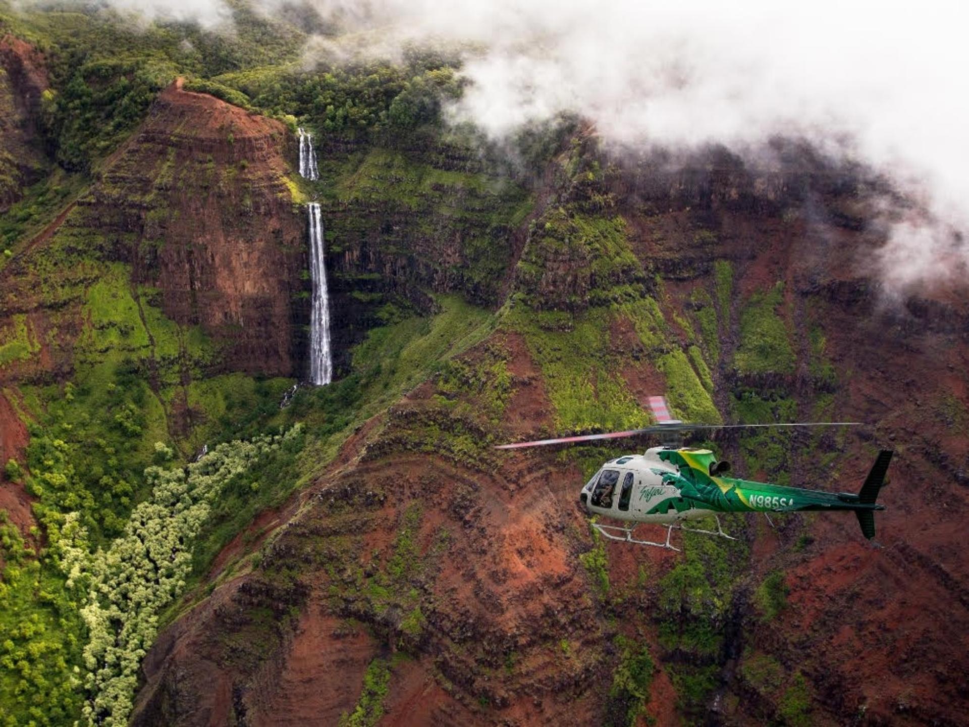 Hamakua Coast Waterfalls and Valleys Safari Helicopter Experience - Thumbnail 2