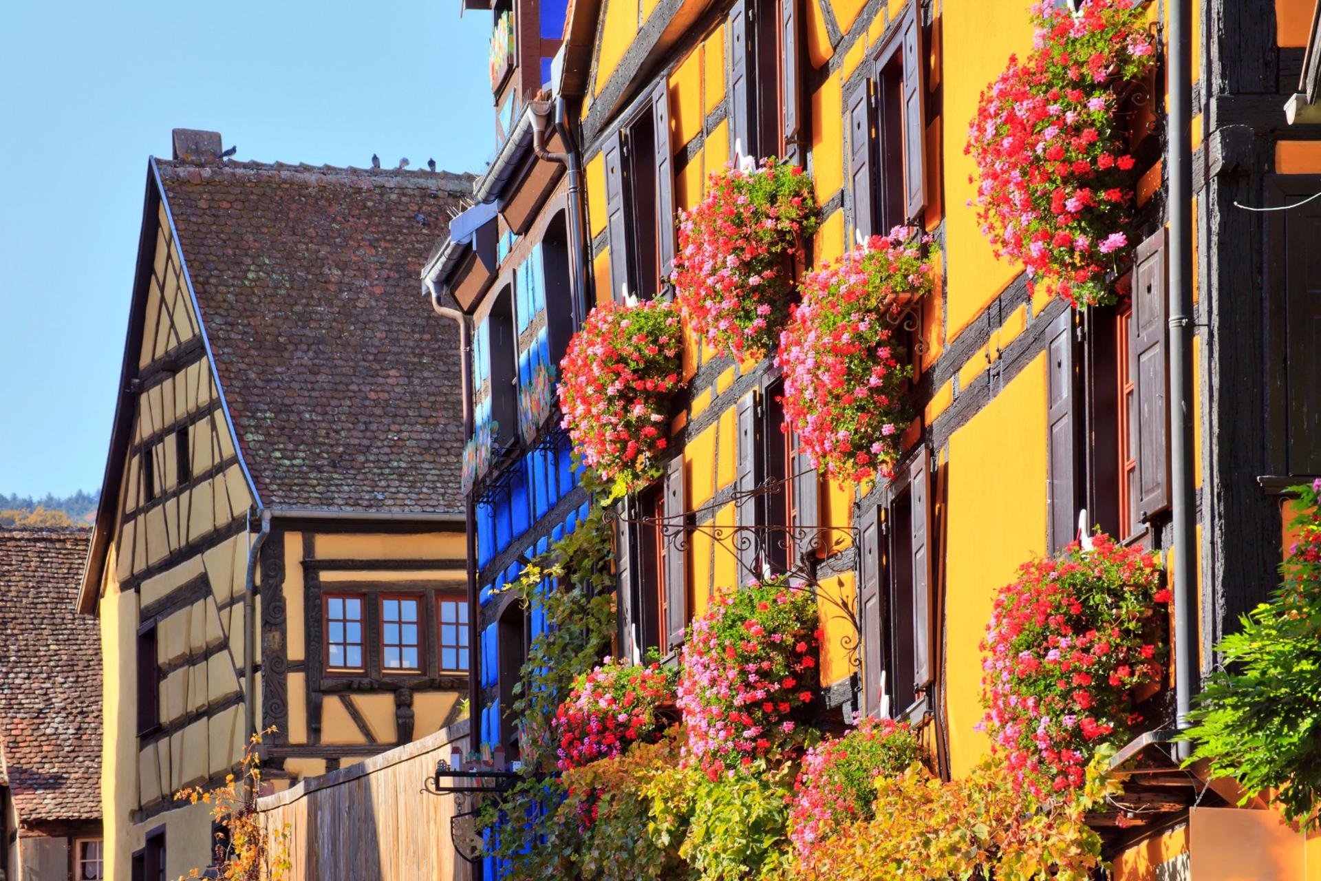 Pearls of Alsace Whole Day Tour from Strasbourg - Thumbnail 2