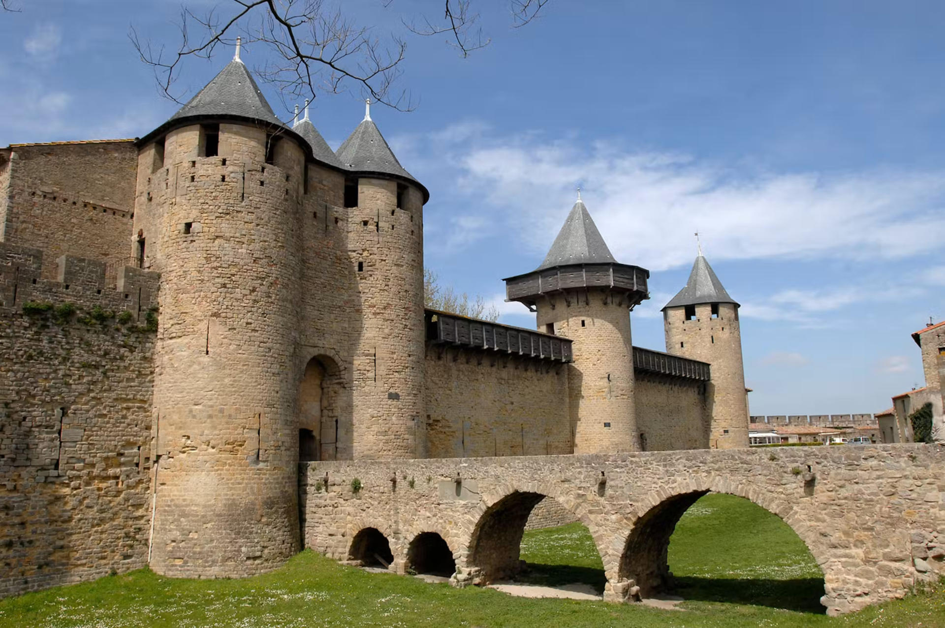 Cite de Carcassonne Ticket in Carcassonne - Thumbnail 6