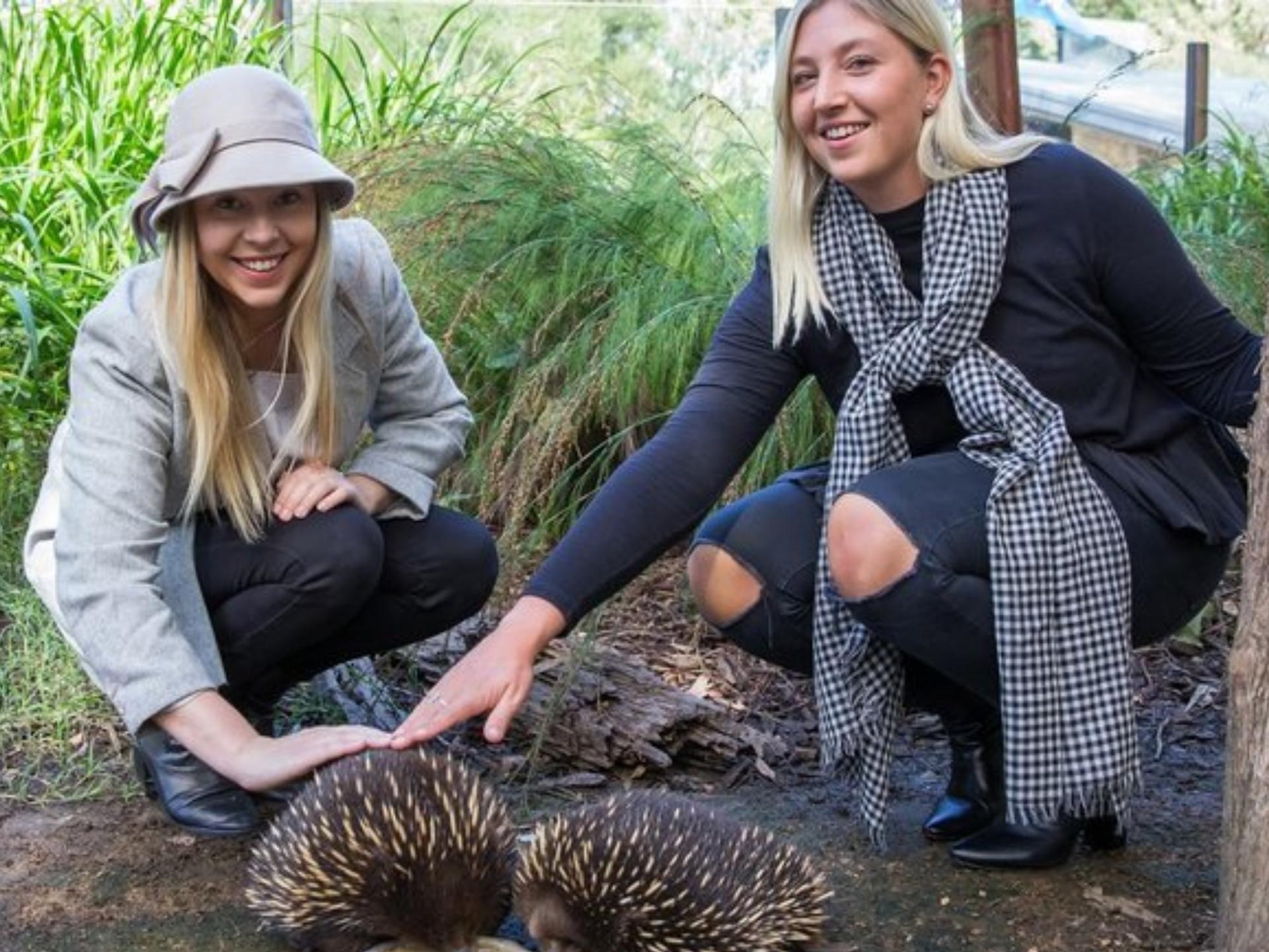 Yarra Valley Small-Group Day Tour with Redwoods, Wine, & Wildlife - Thumbnail 30