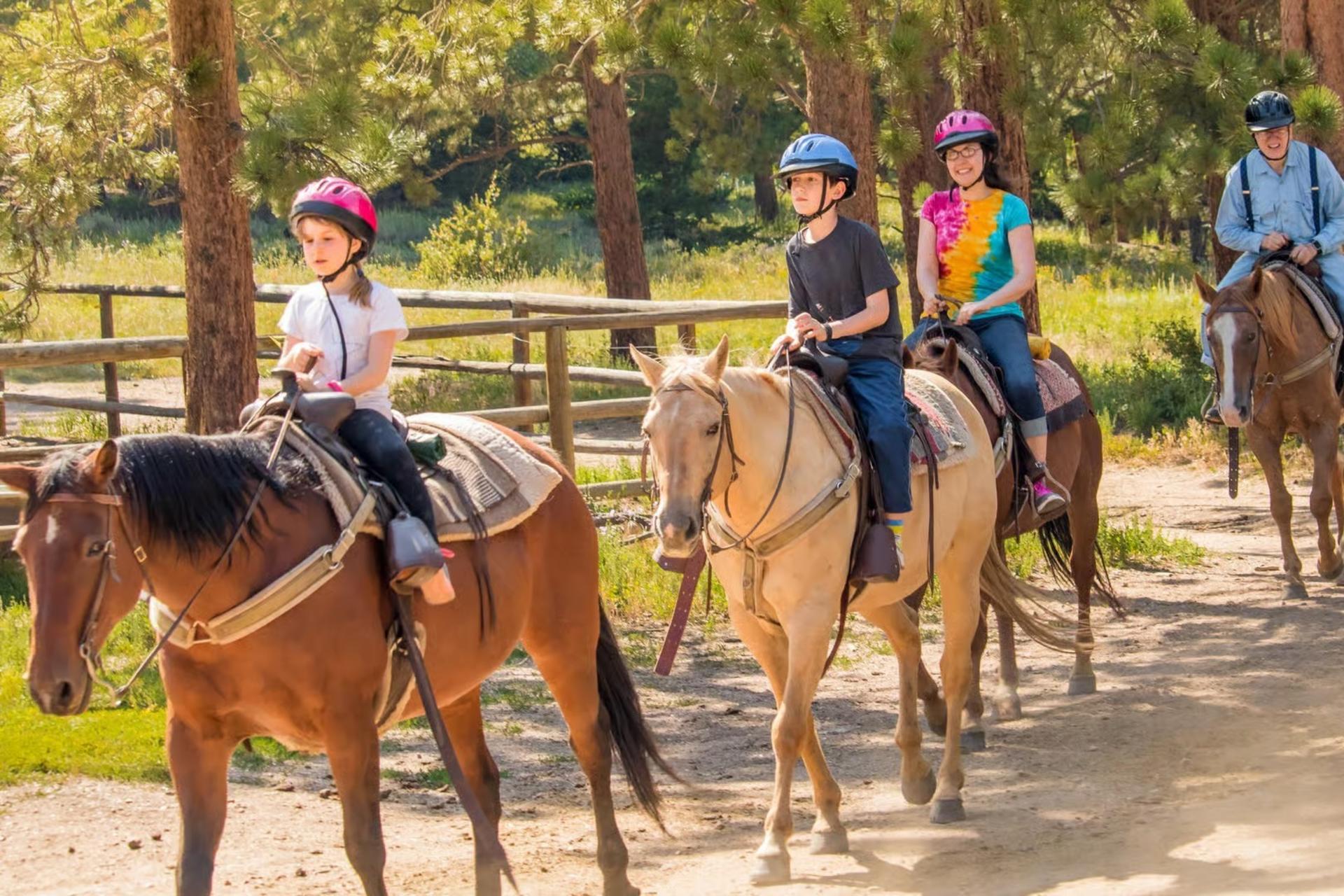 Horseback Riding Experience in Marmaris National Park - Thumbnail 6