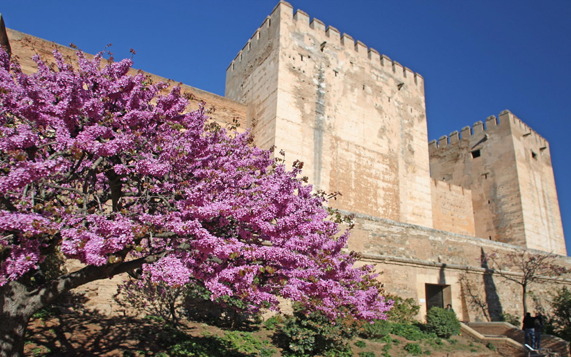 Alhambra Complex Tour: Nasrid Palaces, Alcazaba & Generalife - Thumbnail 3