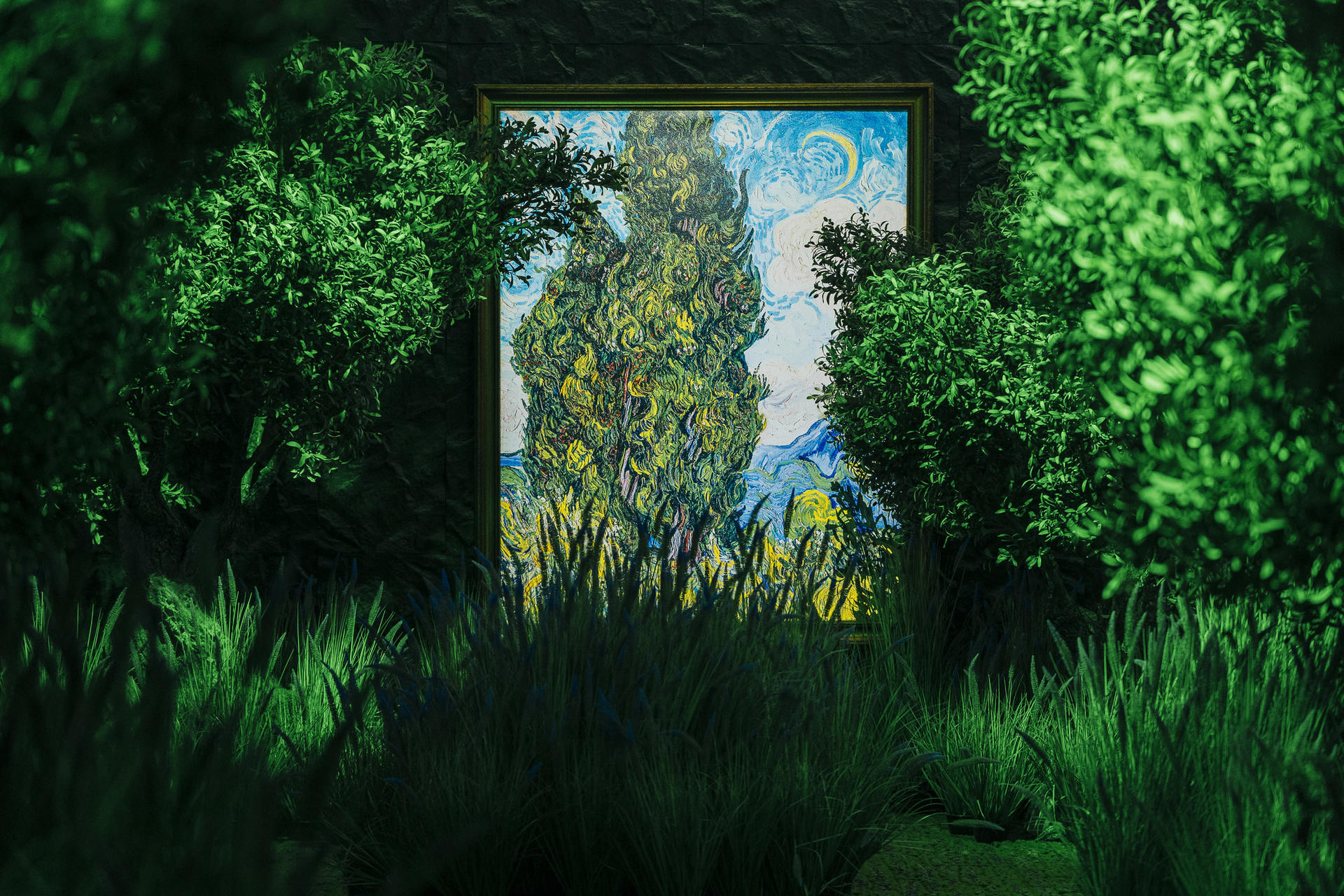 Van Gogh Timeless Exhibition Ticket in Hanoi - Thumbnail 2