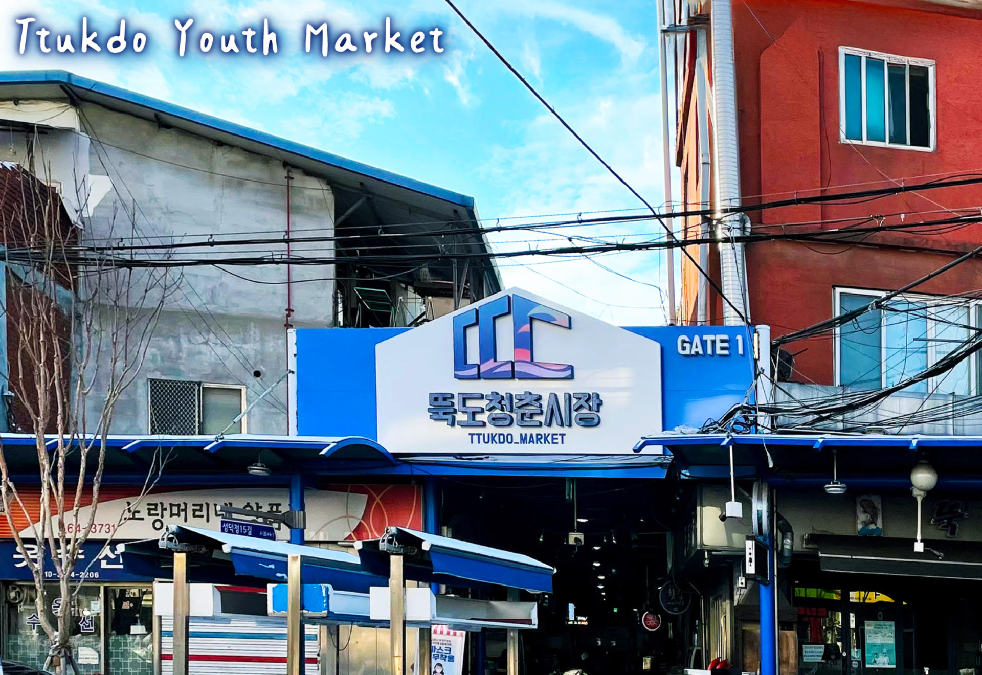 Seoul Seongdong-gu Half-Day Small Group City Highlights Tour - Thumbnail 8