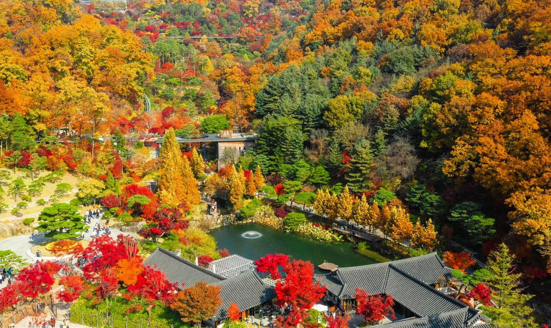 Lotte World + Gyeonggi-do Hot Places Day Tour - Thumbnail 20