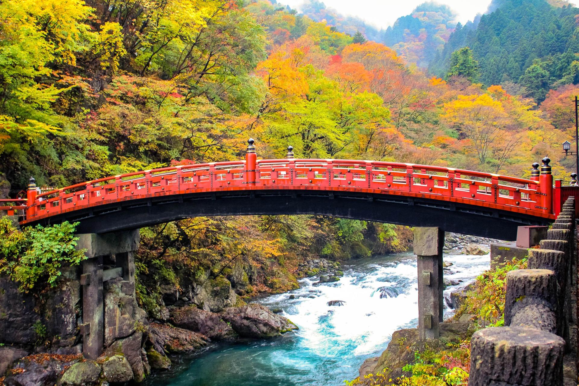Nikko Autumn Special: Irohazaka, Kegon Falls & Toshogu Day Tour - Thumbnail 14