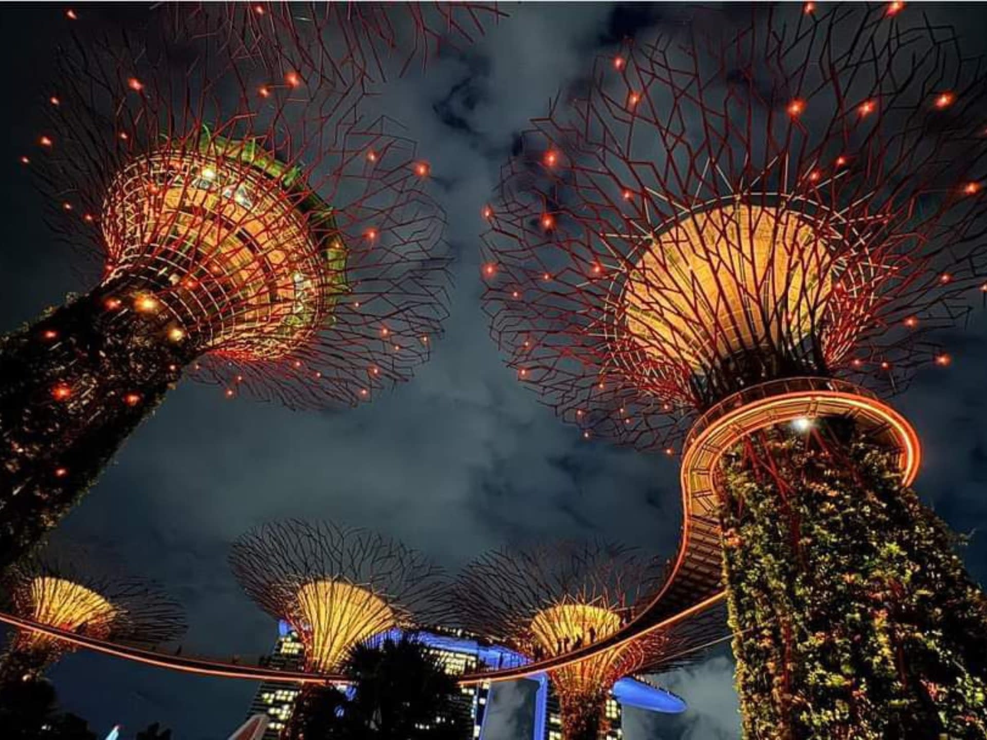 Singapore River Cruise & Gardens by the Bay Evening Tour - Thumbnail 7