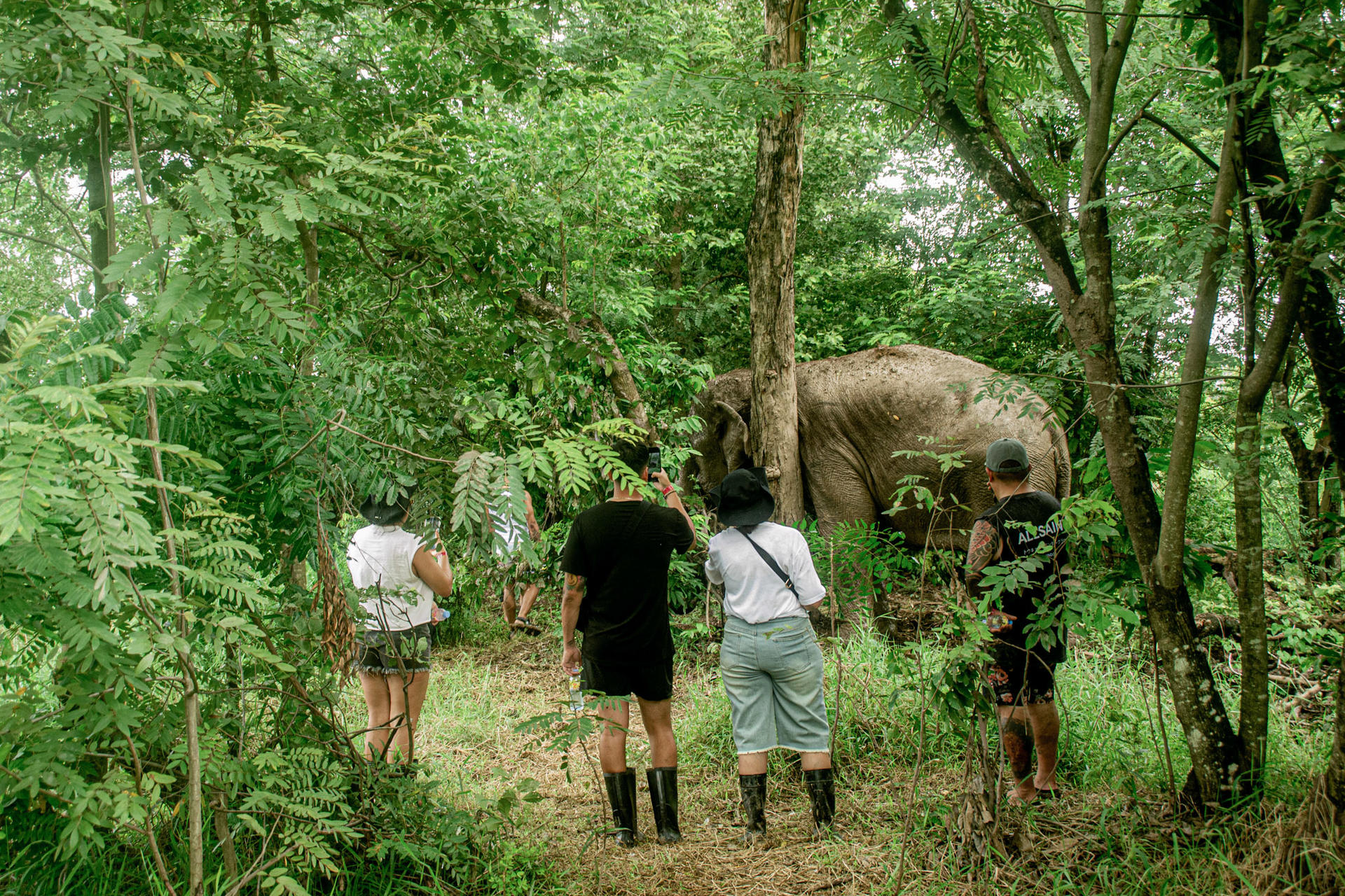 Love Elephant Sanctuary Bangkok Experience - Thumbnail 6