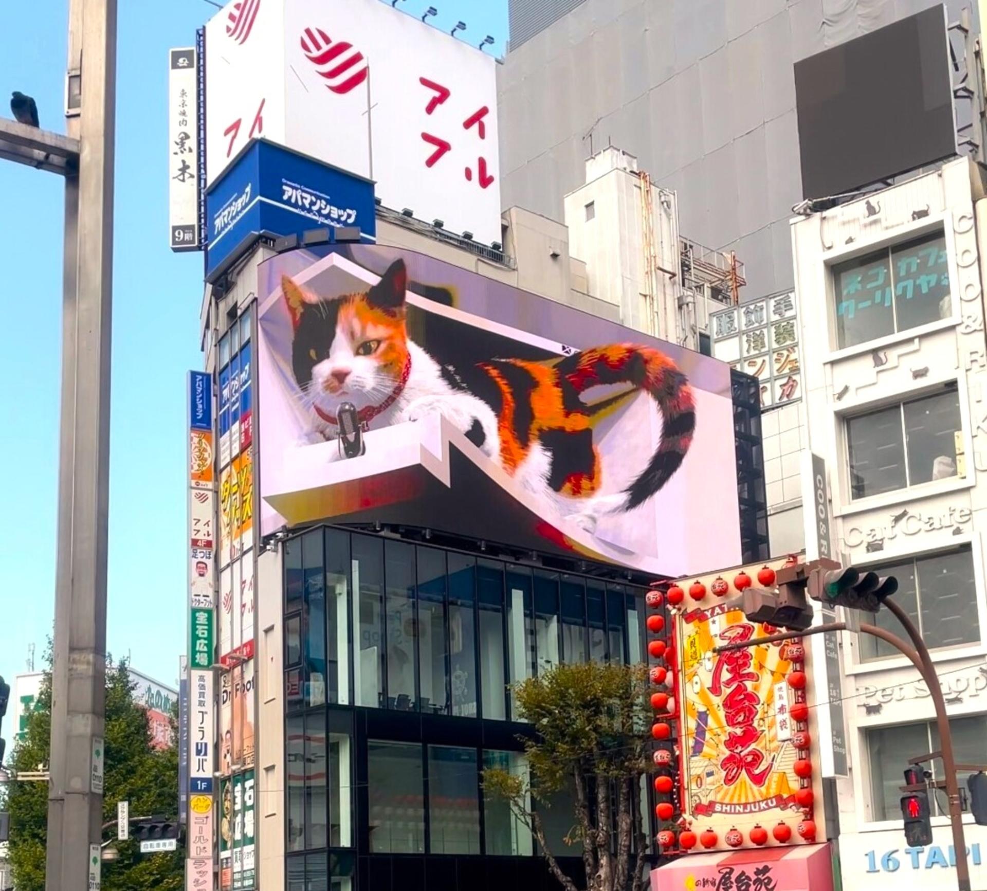 Tokyo Cat Cafe & Gotokuji Temple Half-Day Tour - Thumbnail 8