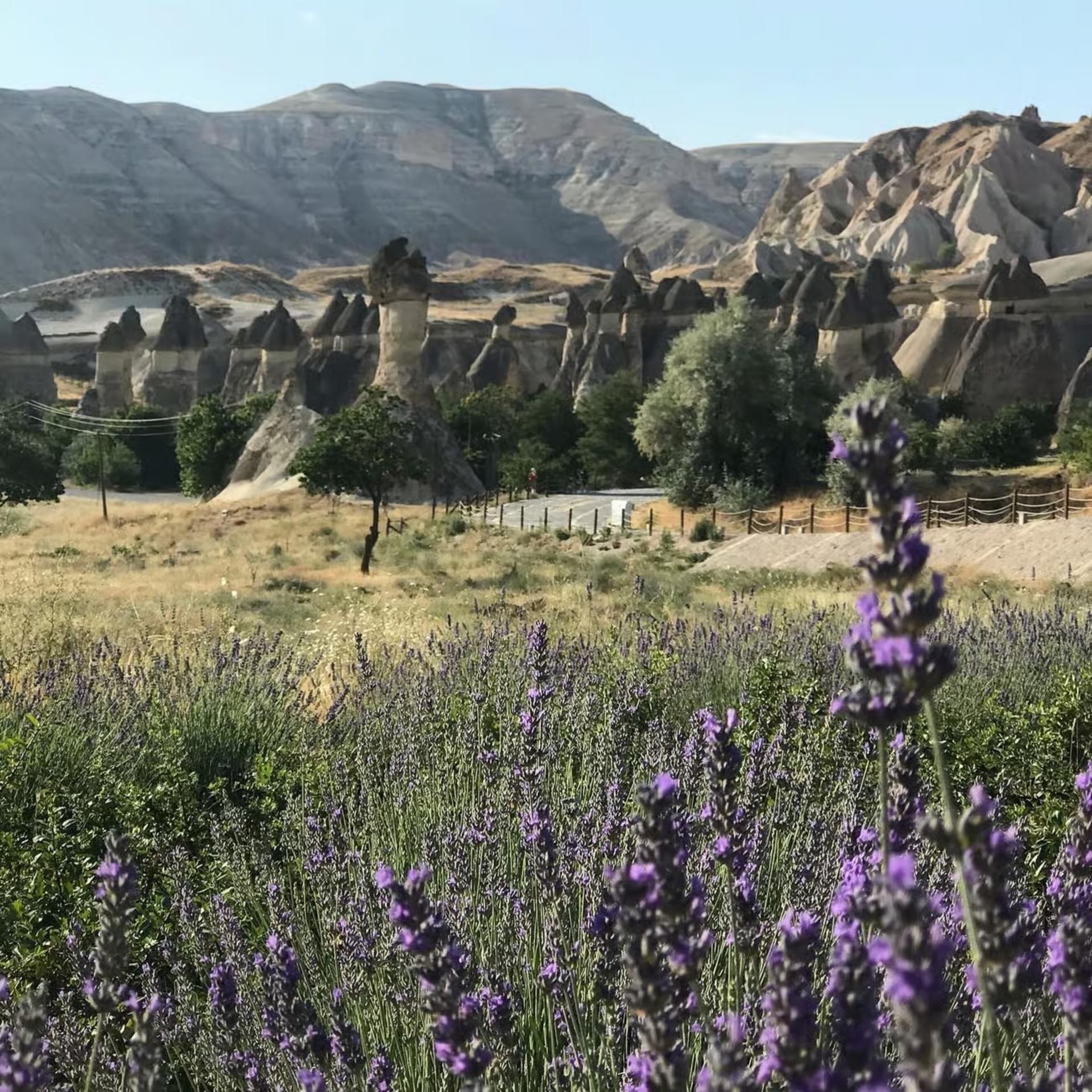 Mochiron Tour Full Day Cappadocia with Japanese Guide  - Thumbnail 4