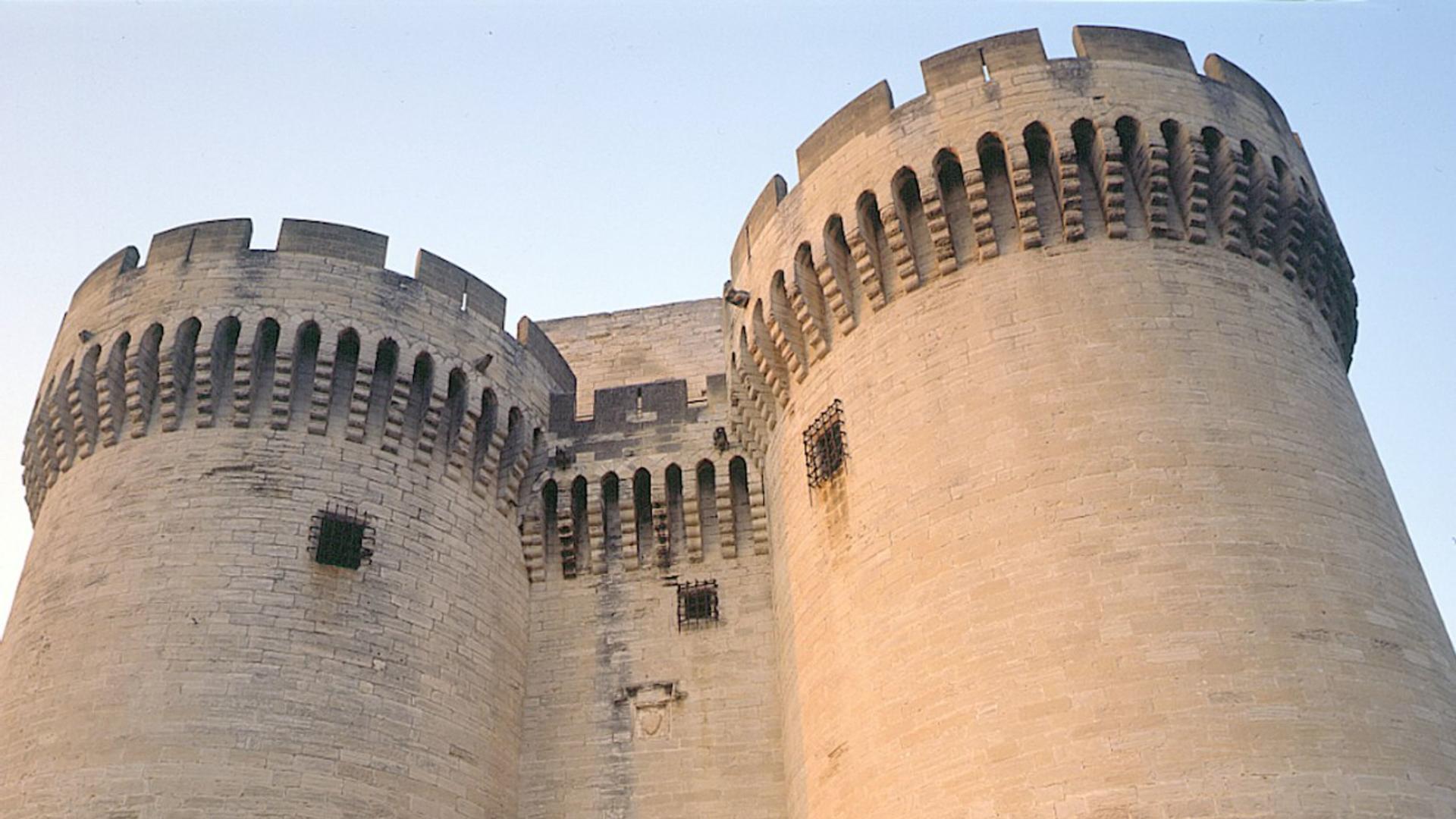 Fort Saint-Andre ticket  - Thumbnail 6