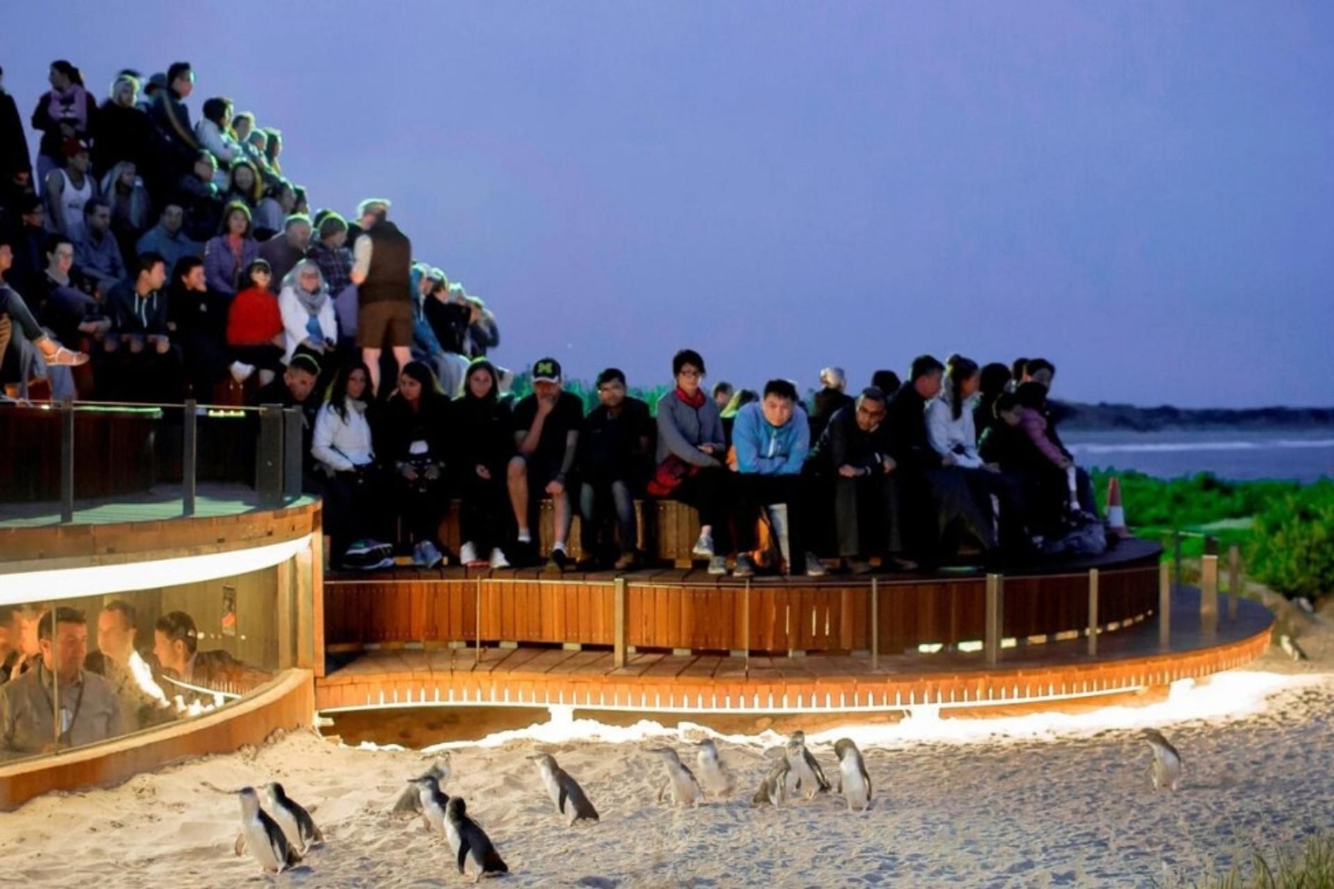Melbourne Phillip Island Full-Day Private Penguin Parade Tour - Image 1