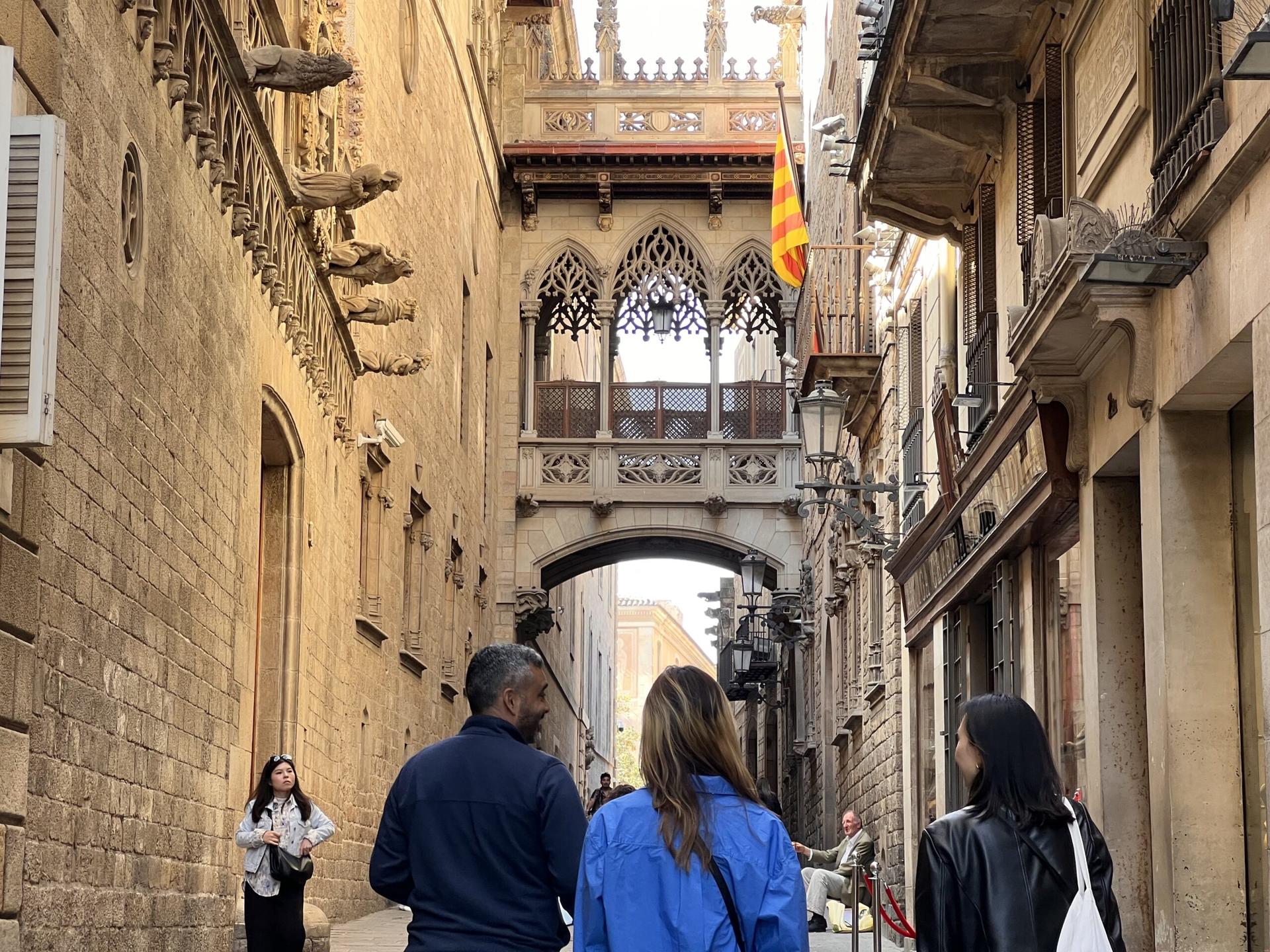 Barcelona's Gothic Quarter Guided Tour, Flamenco Show & Tapas Dinner - Thumbnail 2