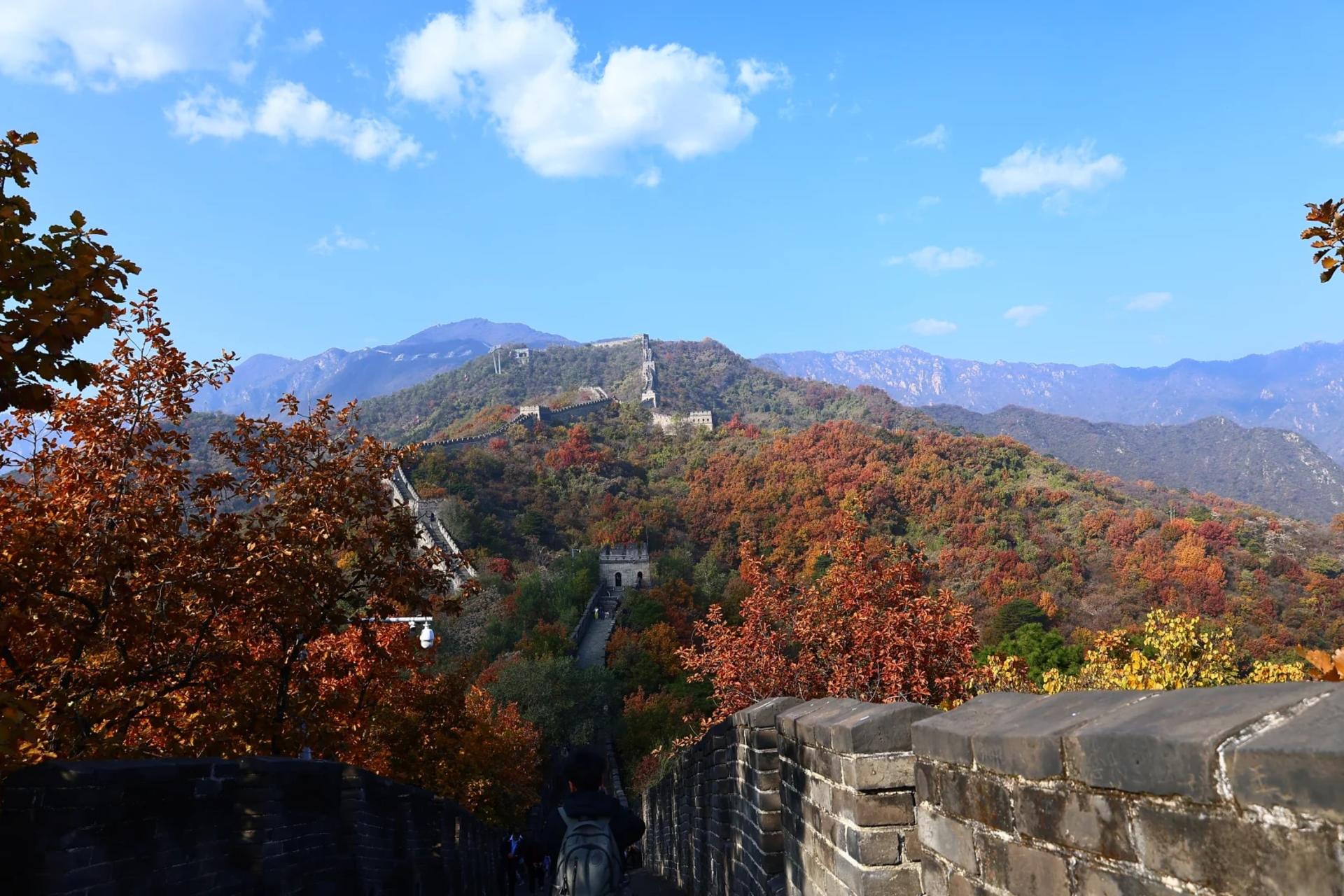 Beijing Mutianyu Great Wall & Forbidden City  Day Tour - Thumbnail 14