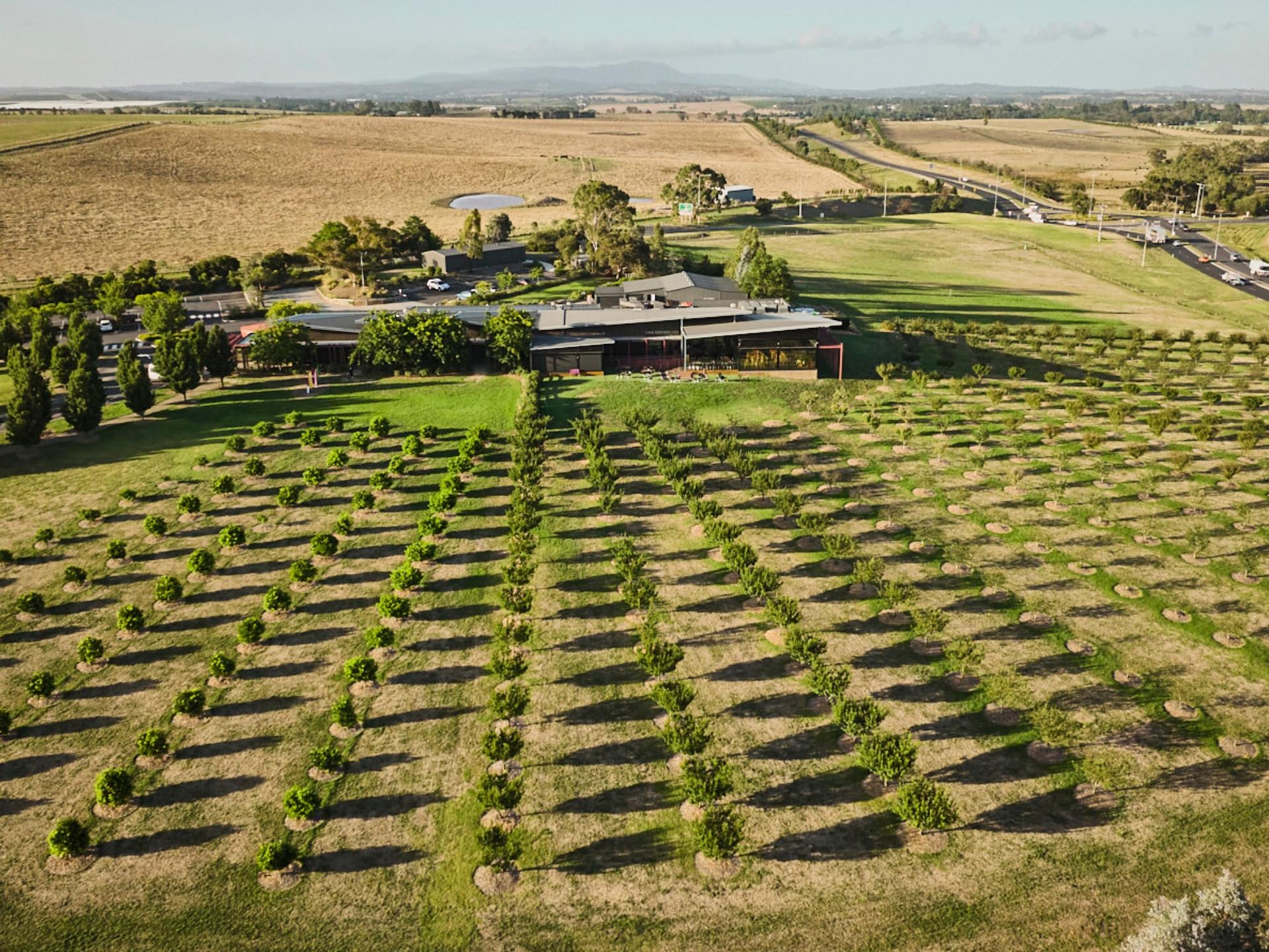 Yarra Valley Small-Group Day Tour with Redwoods, Wine, & Wildlife - Thumbnail 33