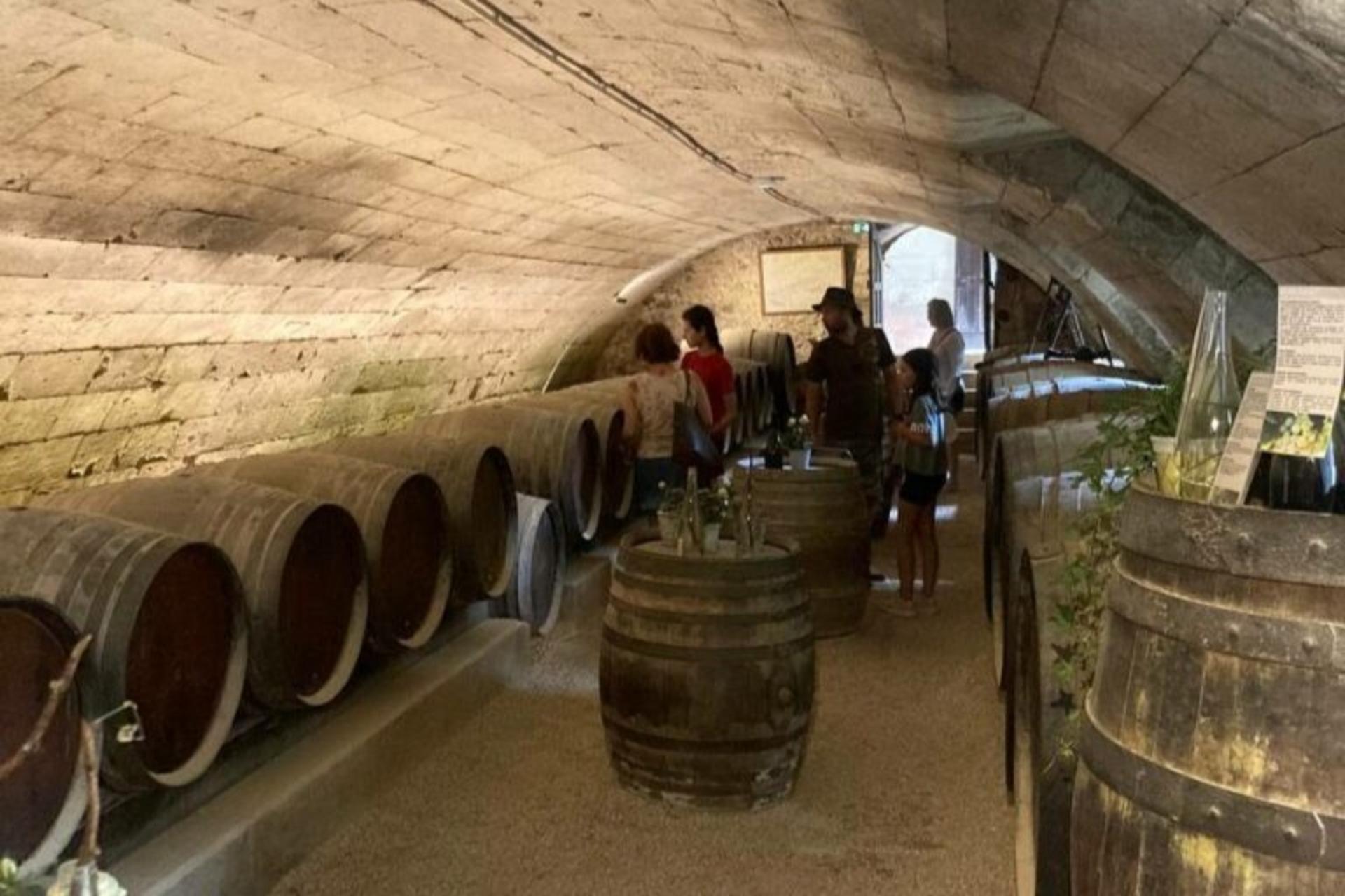 Loire Valley Wine Tasting Tour with Castle Visits and Lunch - Thumbnail 3