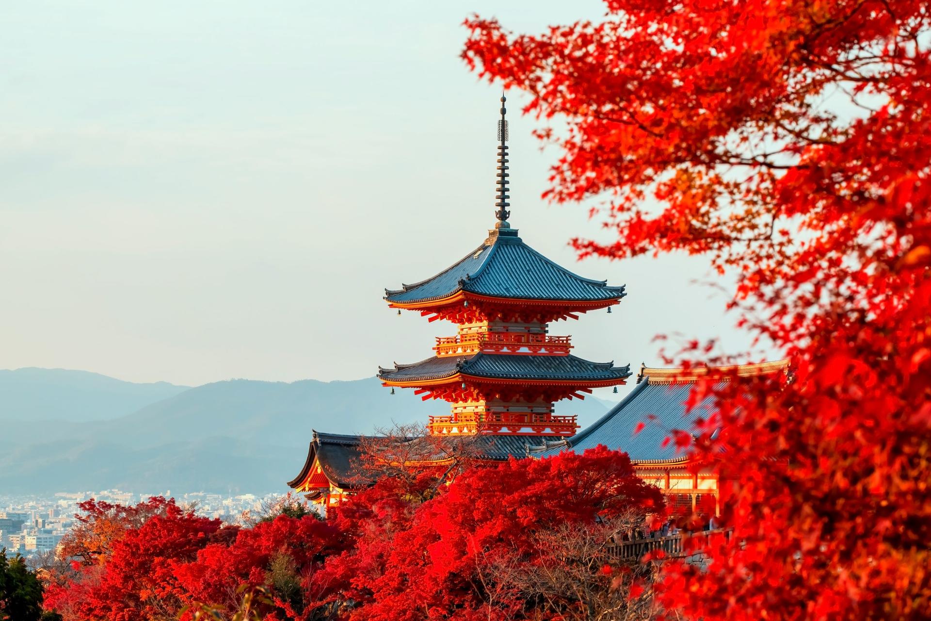 Best of Kyoto & Nara: Kiyomizudera, Nara Park, Todaiji & Much More - Image 1