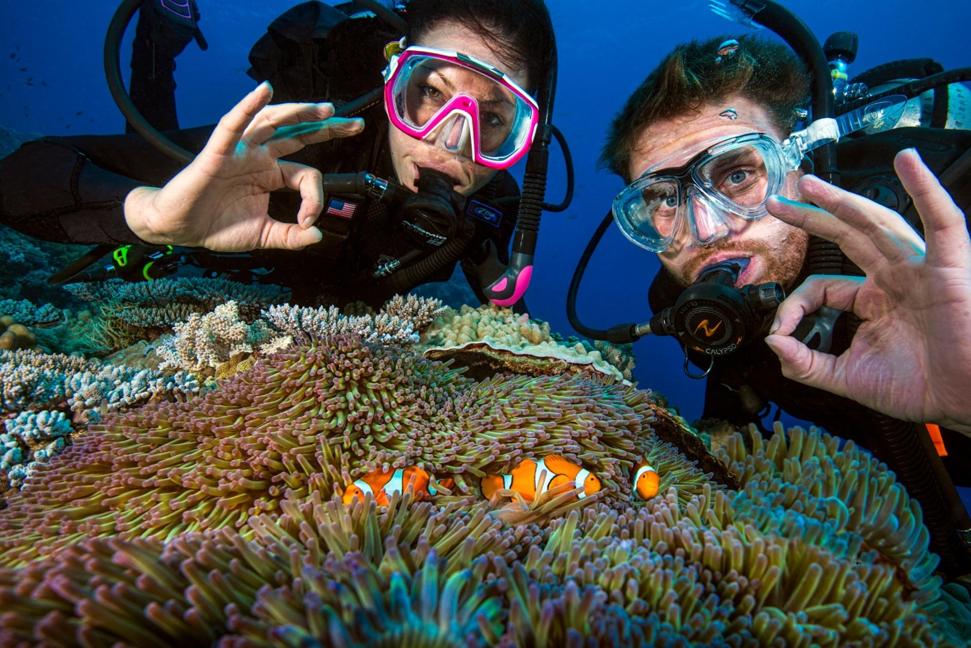 PADI 3-Day/2 Night Liveaboard Trip  - Thumbnail 3