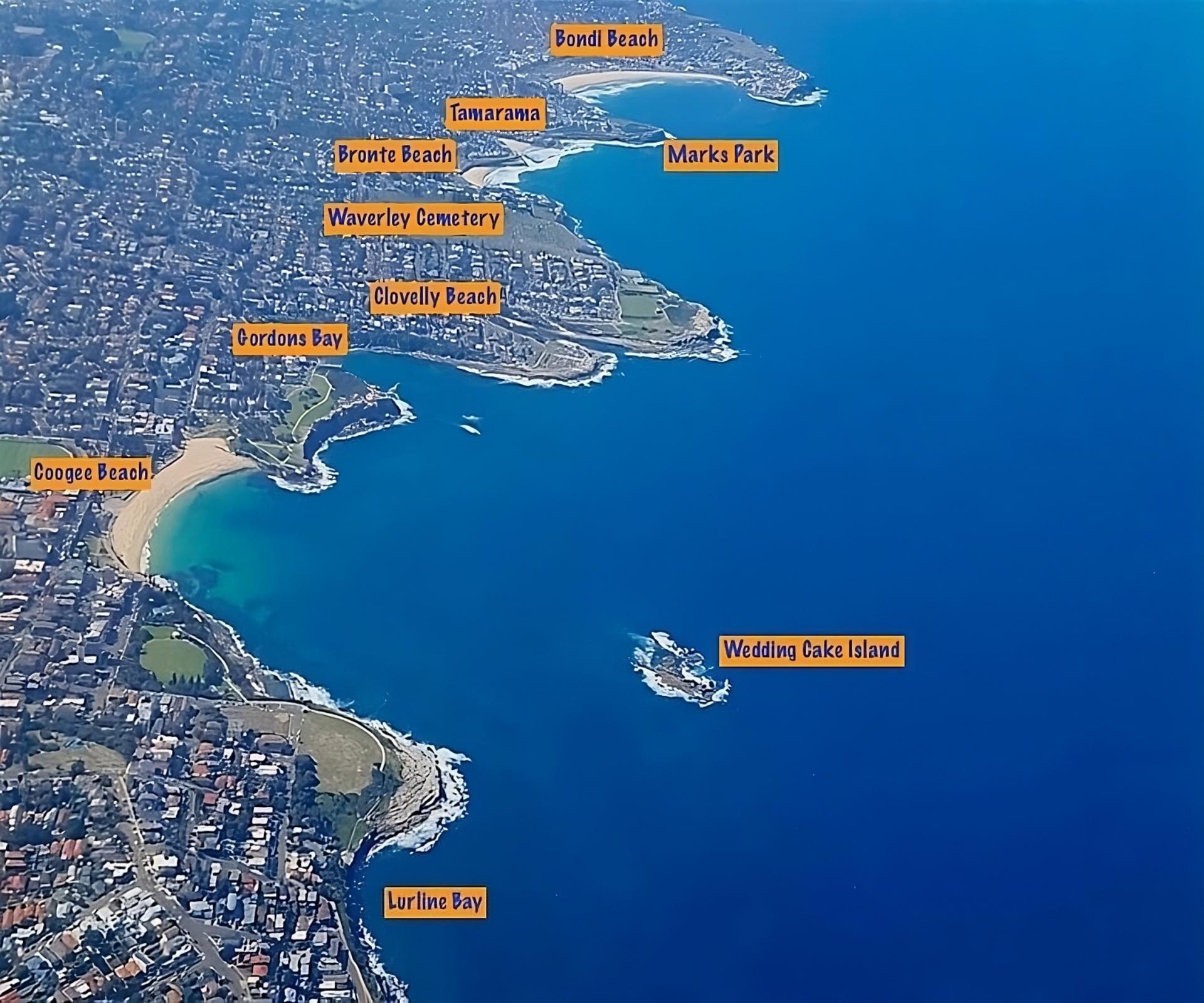 PRIVATE Sydney City Bondi Beach Opera House & Botanic Garden Tour - Thumbnail 3