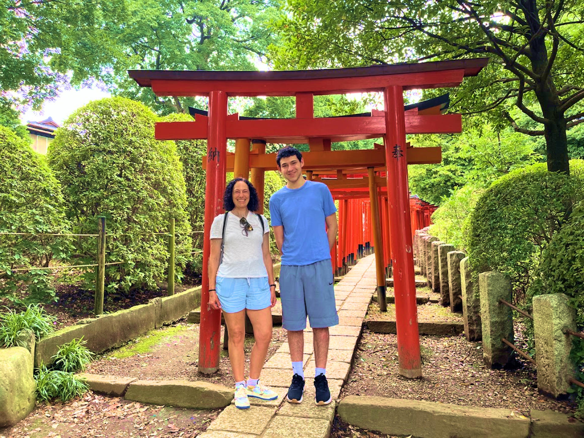 Yanaka Walking Tour: Historic and Traditional District of Tokyo  - Thumbnail 10
