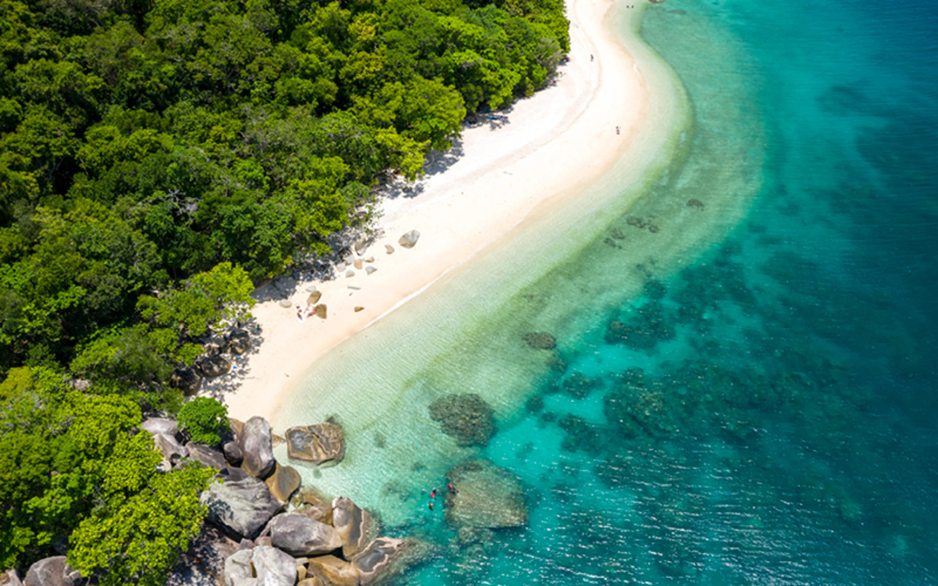 Half or Full Day Fitzroy Island Transfers & Optional Activities - Thumbnail 7