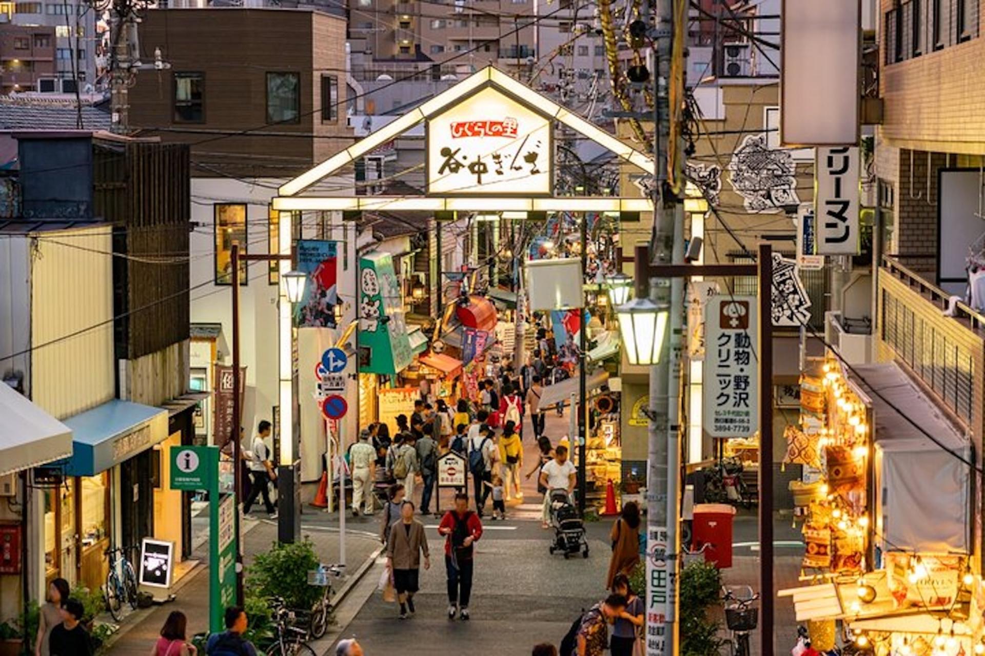 Encounter Cultural Heritage & Enjoy Yanaka Old Town (Tokyo) - Thumbnail 11