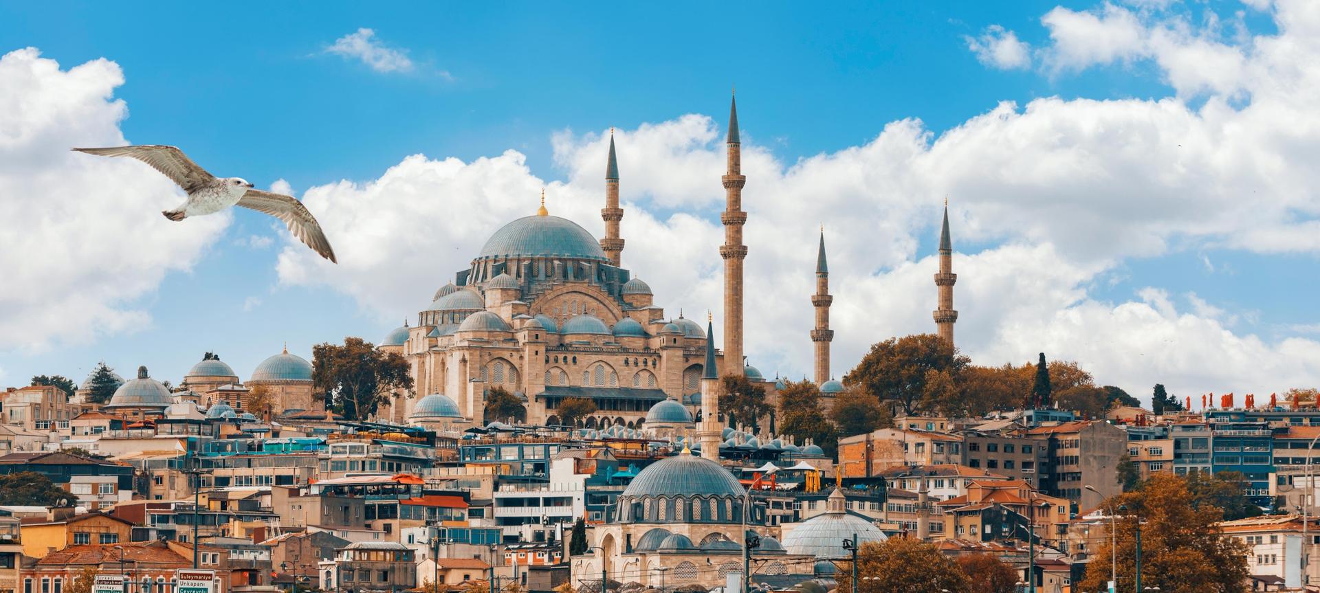 Istanbul Self-Guided Audio Walking Tour - Thumbnail 6
