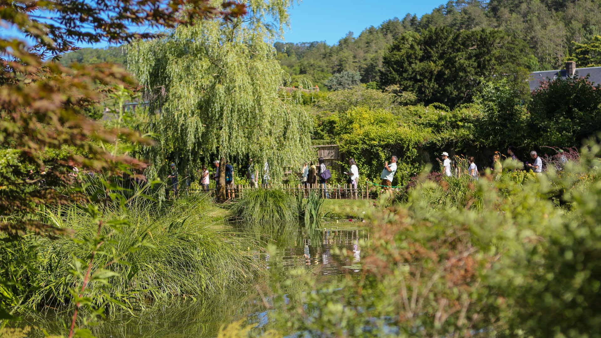 Fondation Monet & Museum of Impressionism trip in Giverny from Paris - Thumbnail 2