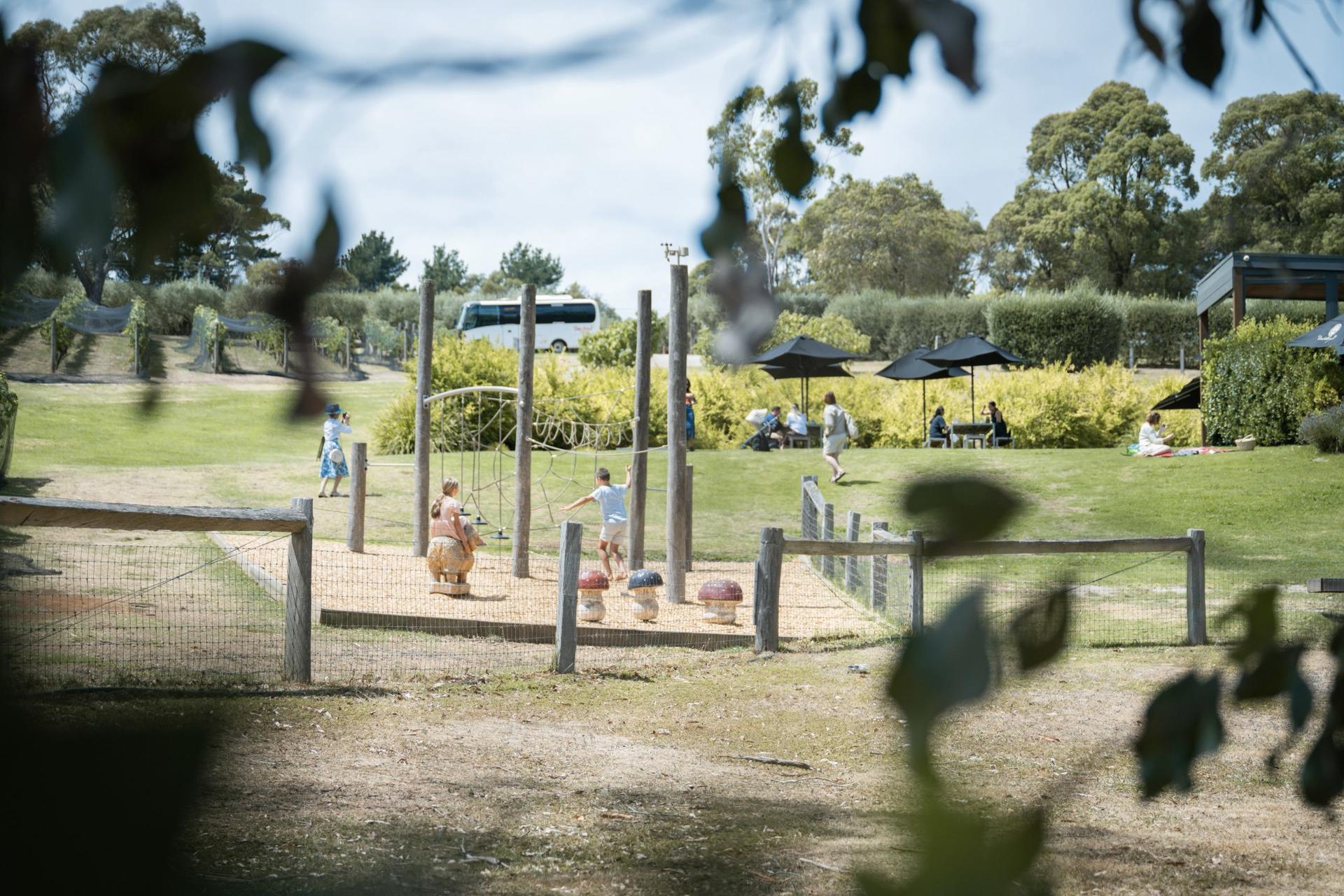 Mornington Peninsula Boutique Wine and Lunch Small Group Tour - Thumbnail 21