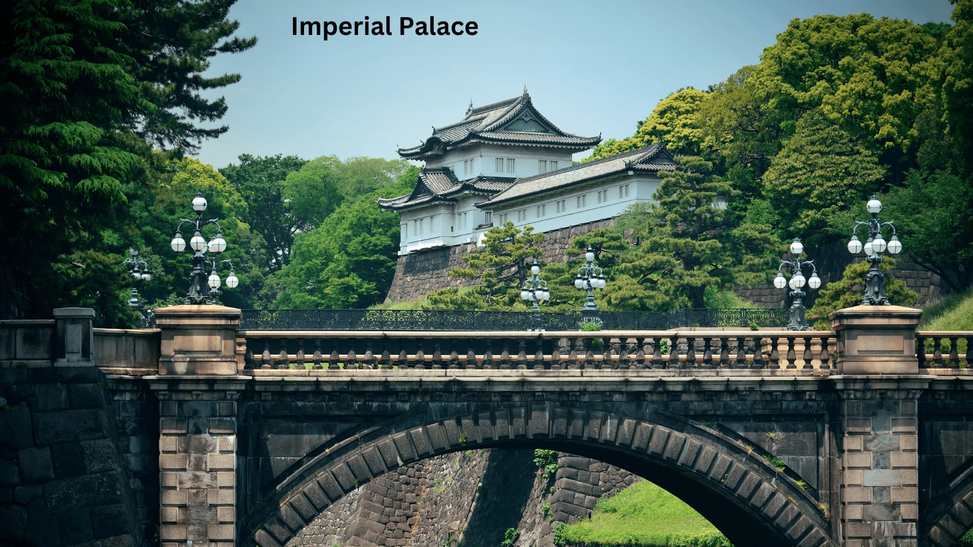 Tokyo Private Tours - Trips to Tokyo One-day Private & Customizable Tour - Thumbnail 5