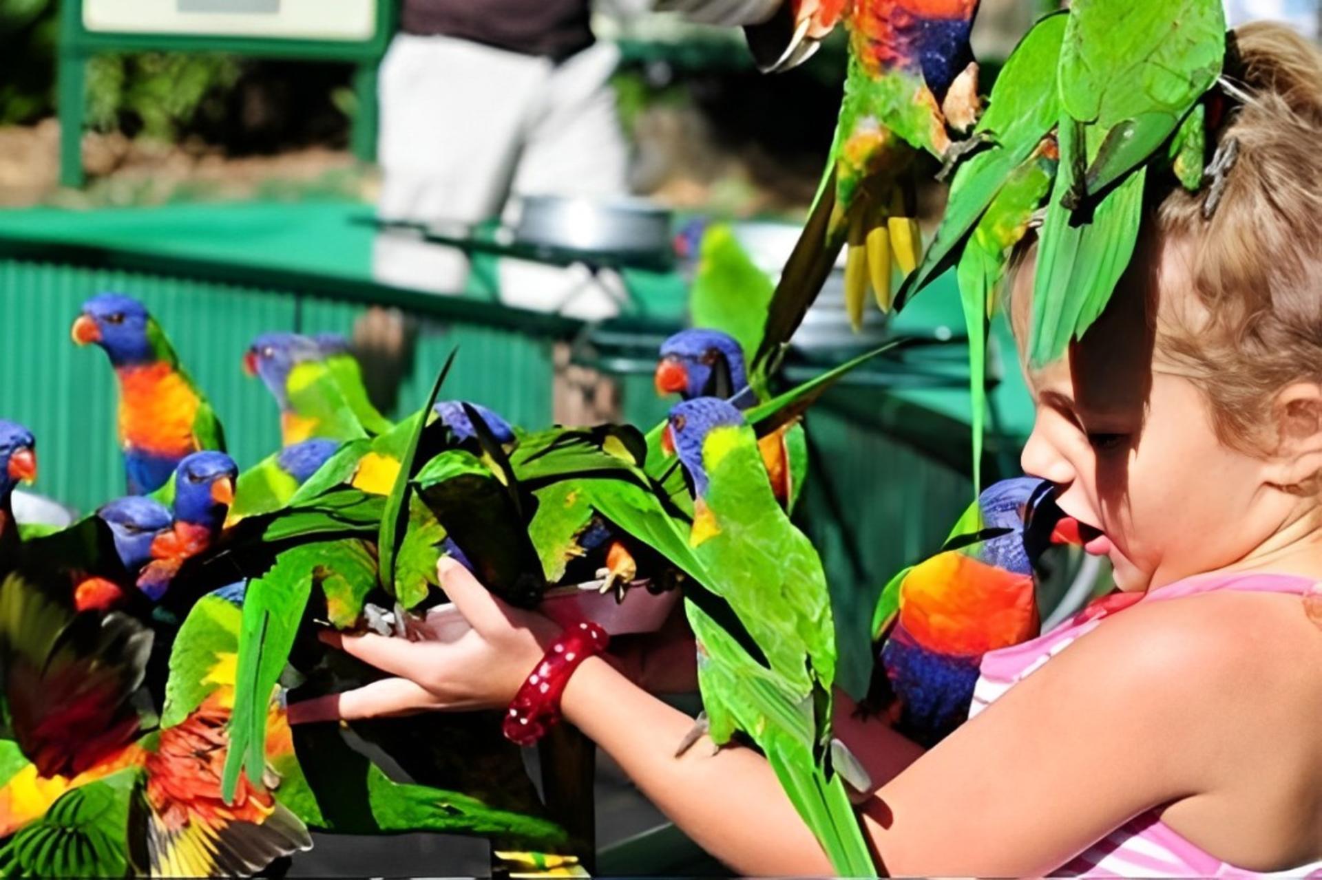 Gold Coast Wildlife & River Cruise Full-Day Experience - Thumbnail 3