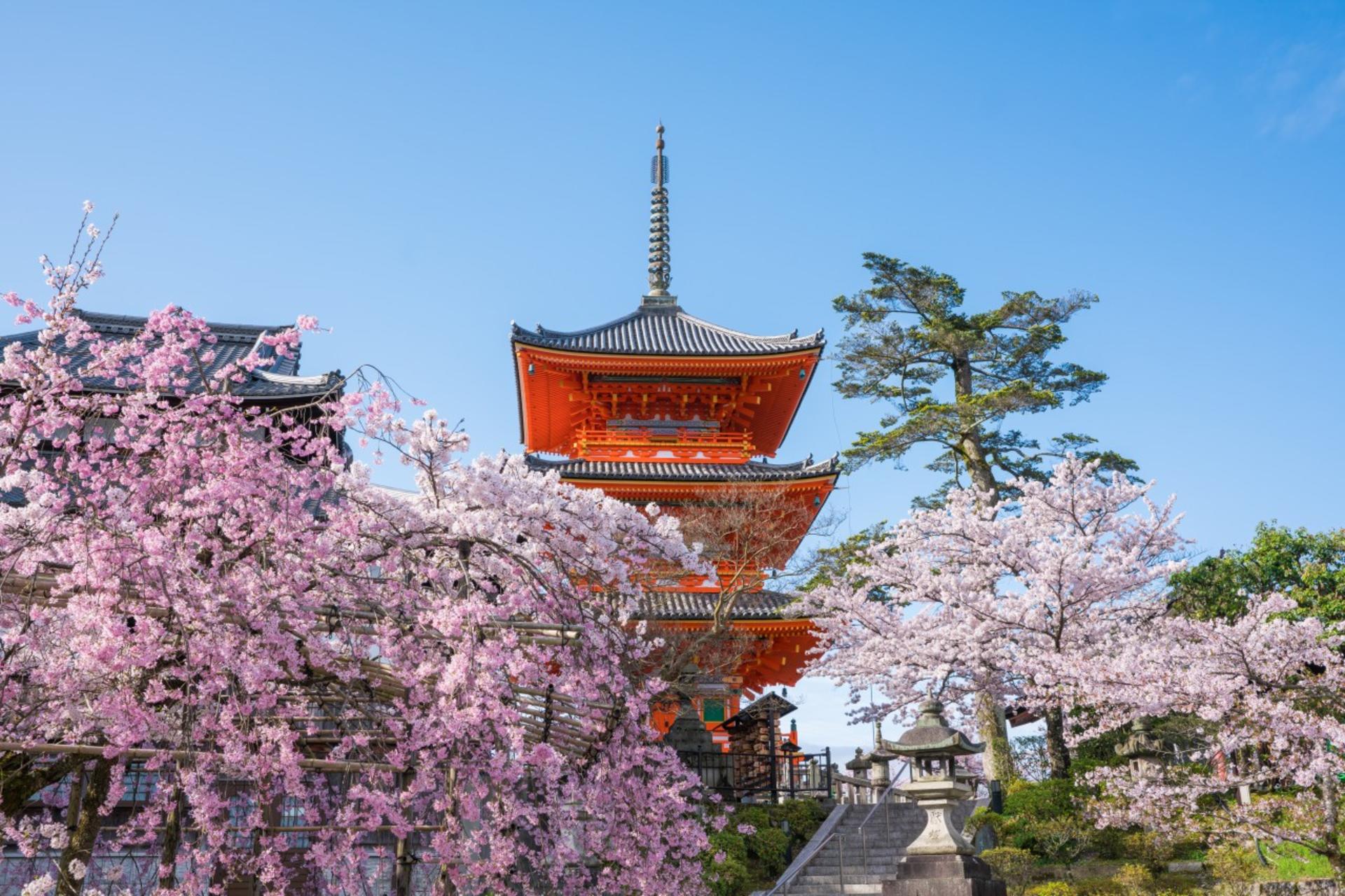 Kyoto & Uji World Heritage One-Day Tour: Kinkaku-ji Temple & Kiyomizu-dera Temple & Byodo-in Temple & Uji Matcha Food Street (Departing from Osaka or Kyoto) - Thumbnail 7