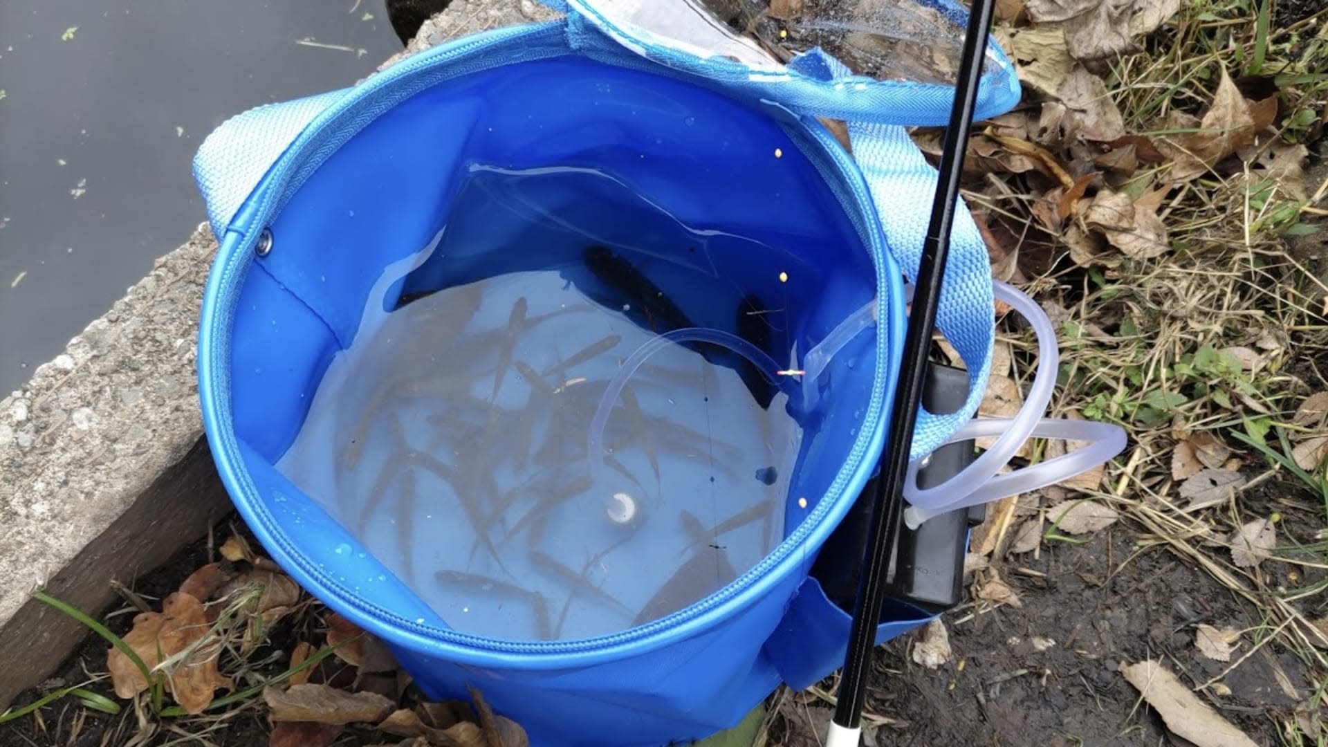 Lampas Outdoor Life: Traditional Japanese Fishing Experience - Thumbnail 25