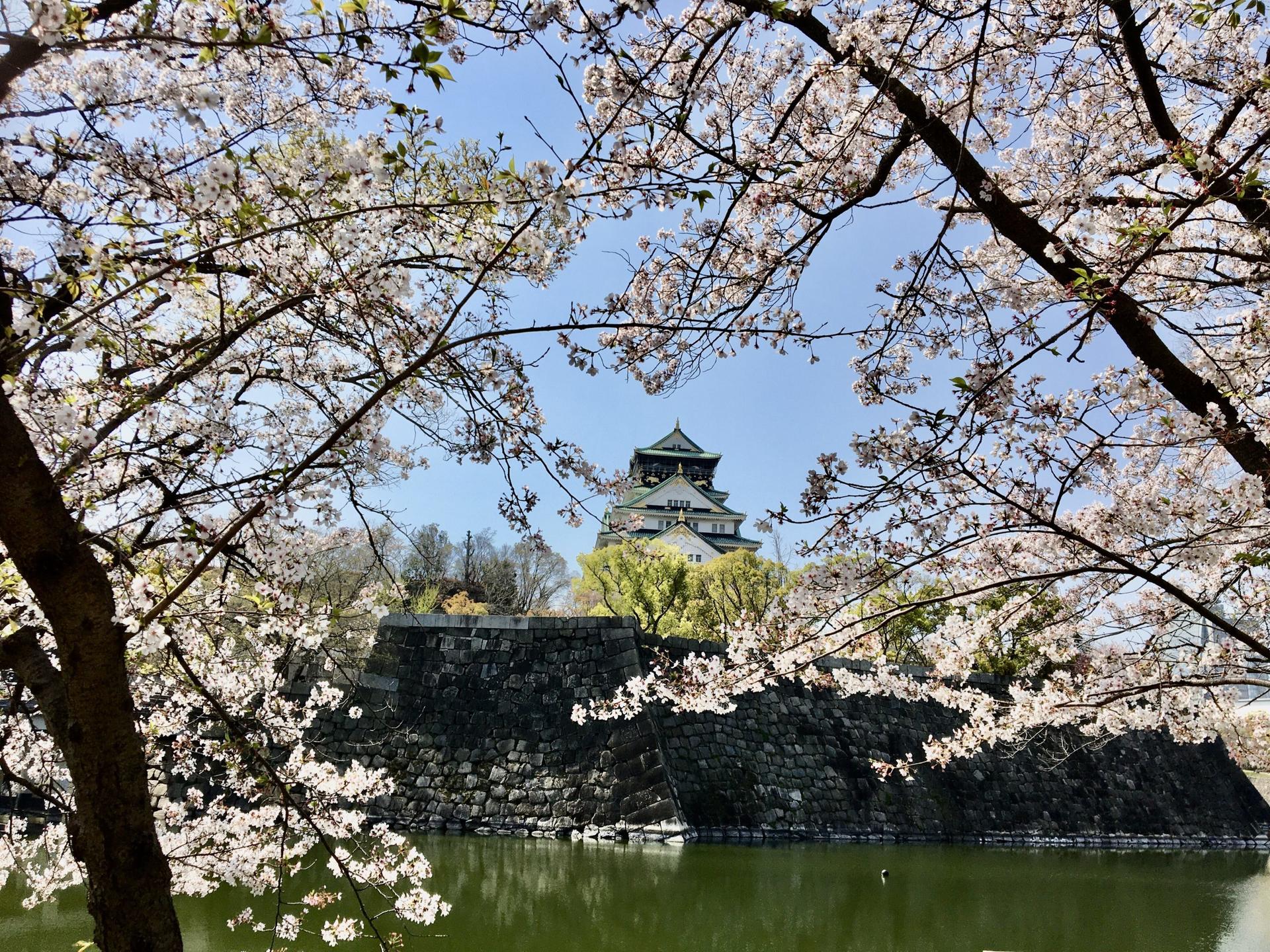 Osaka Castle Half-Day Private Tour - Image 1