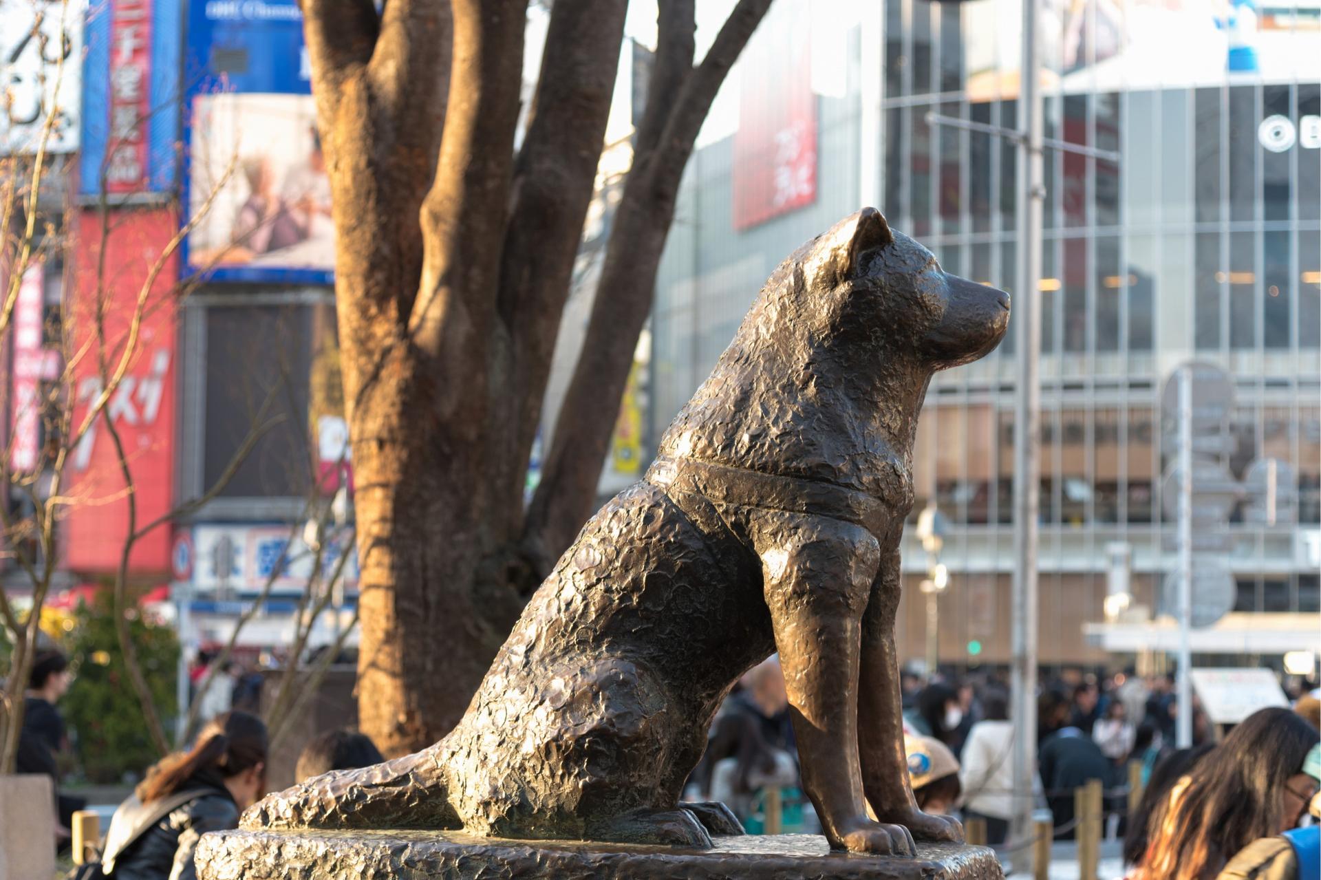 Tokyo Shibuya & Harajuku Half-Day Small Group Tour - Thumbnail 12