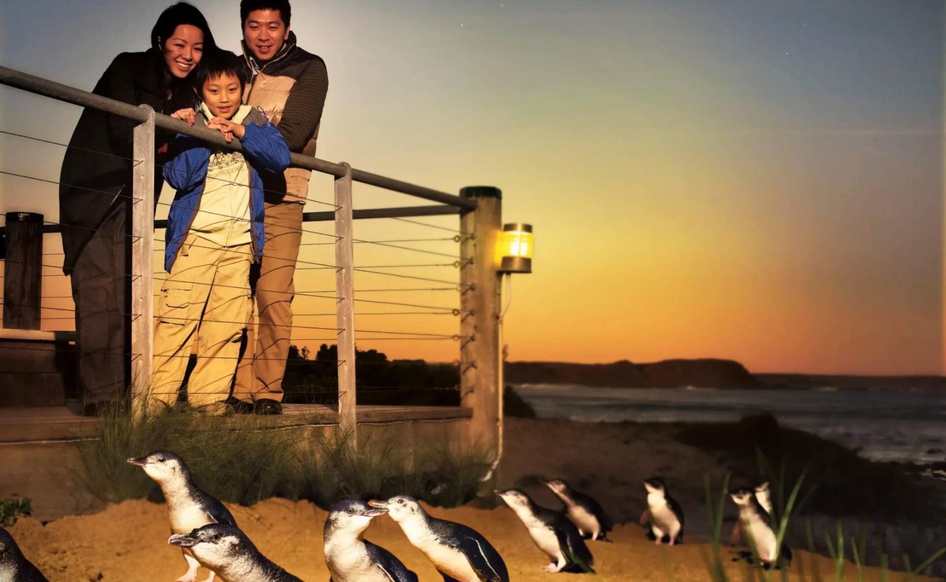 Phillip Island & Penguin Parade Afternoon Eco Tour - Image 1
