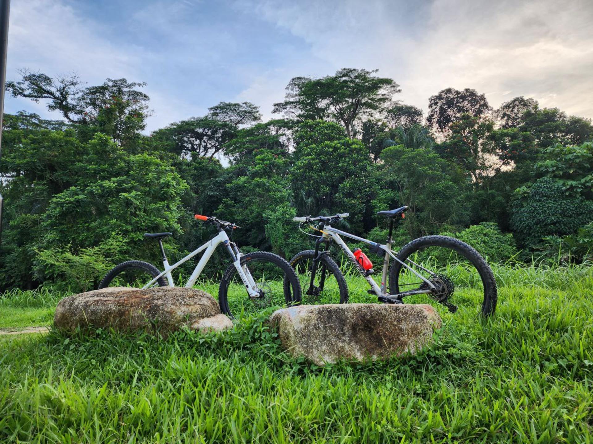 Bicycle(s) For Rent + Delivery - Image 1