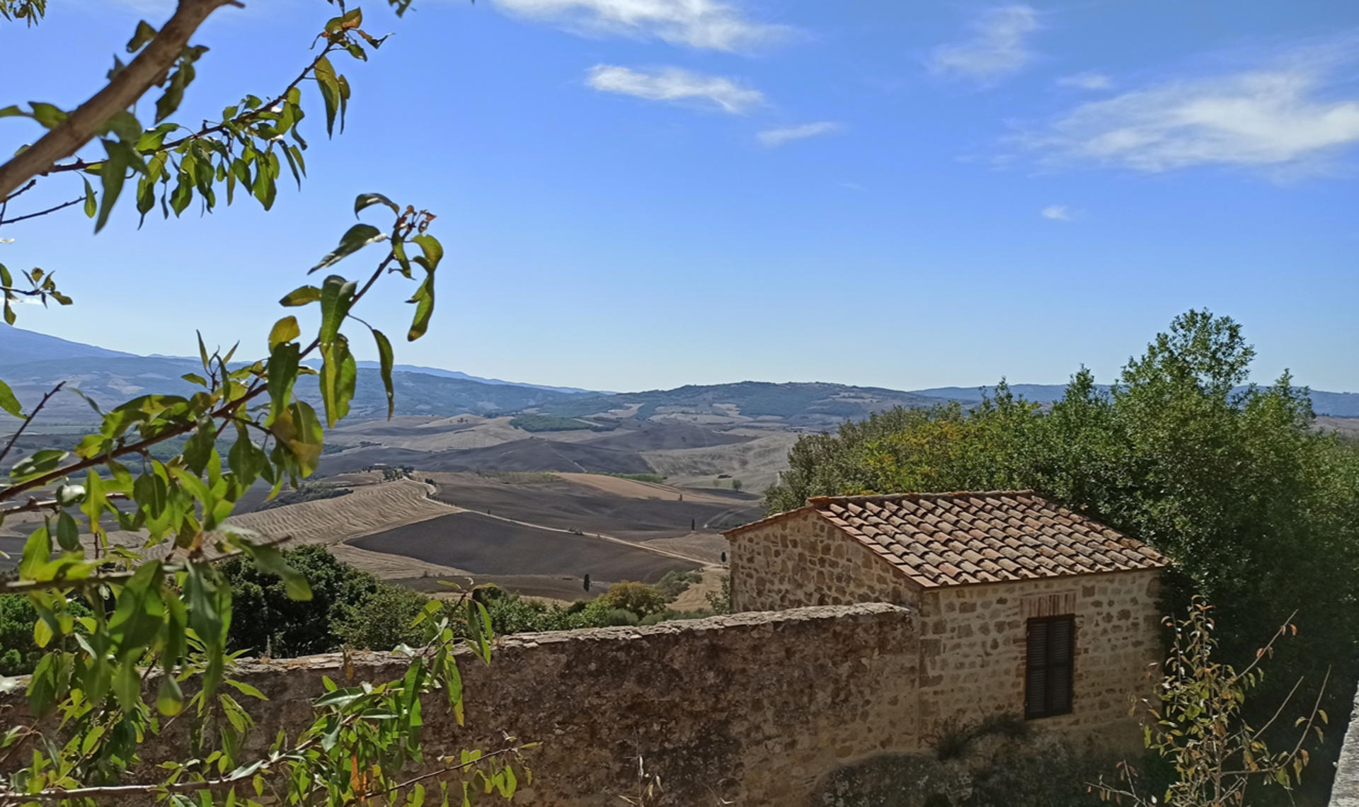 Val d'Orcia wine & cheese tasting experience from Florence - Thumbnail 7
