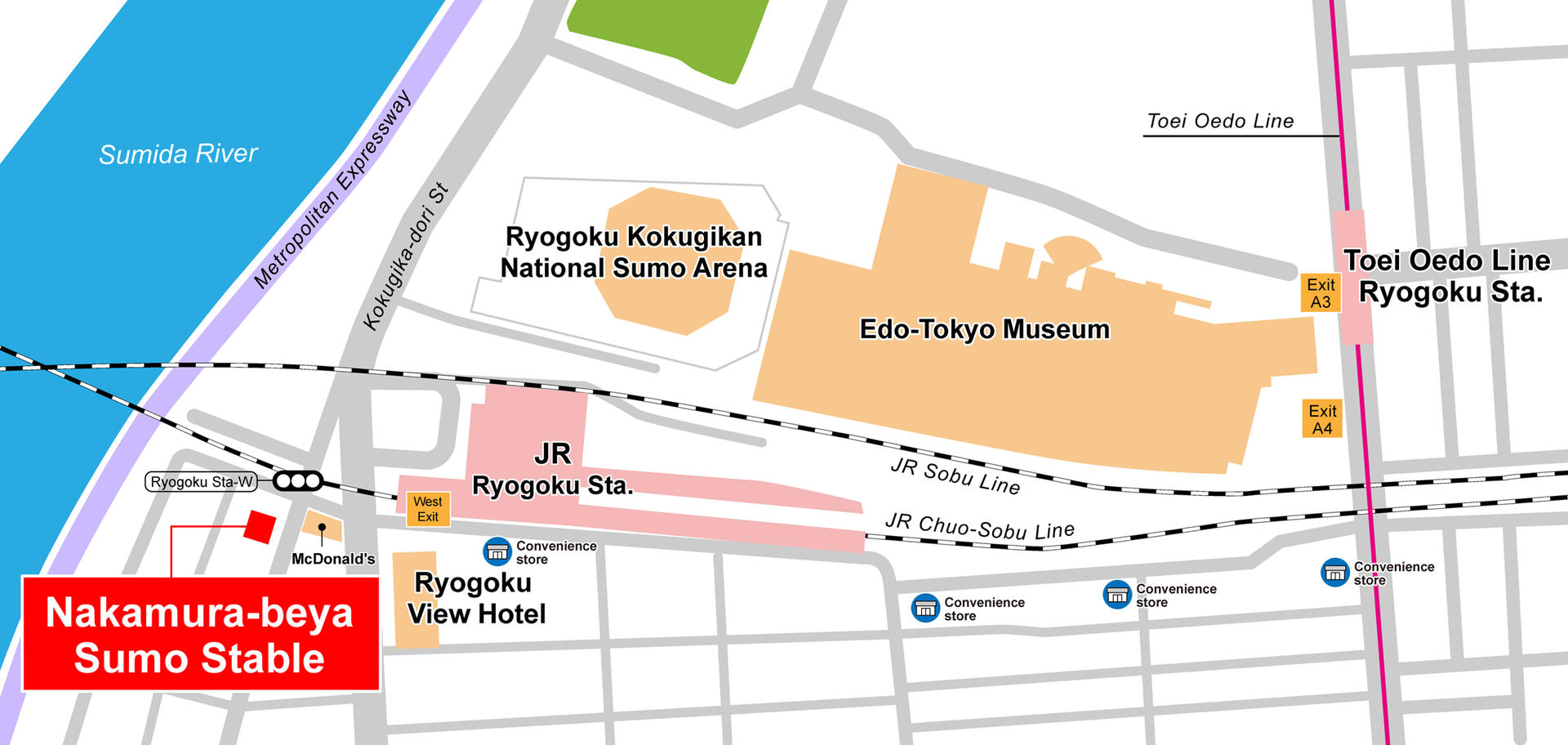 Tokyo Sumo Morning Practice Tour During Tournament Season - Thumbnail 11