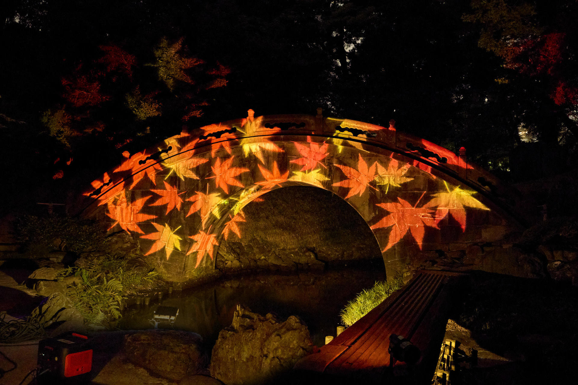 Special Evening Opening: Koishikawa Korakuen Park on an Autumn Night 2026 - Thumbnail 4