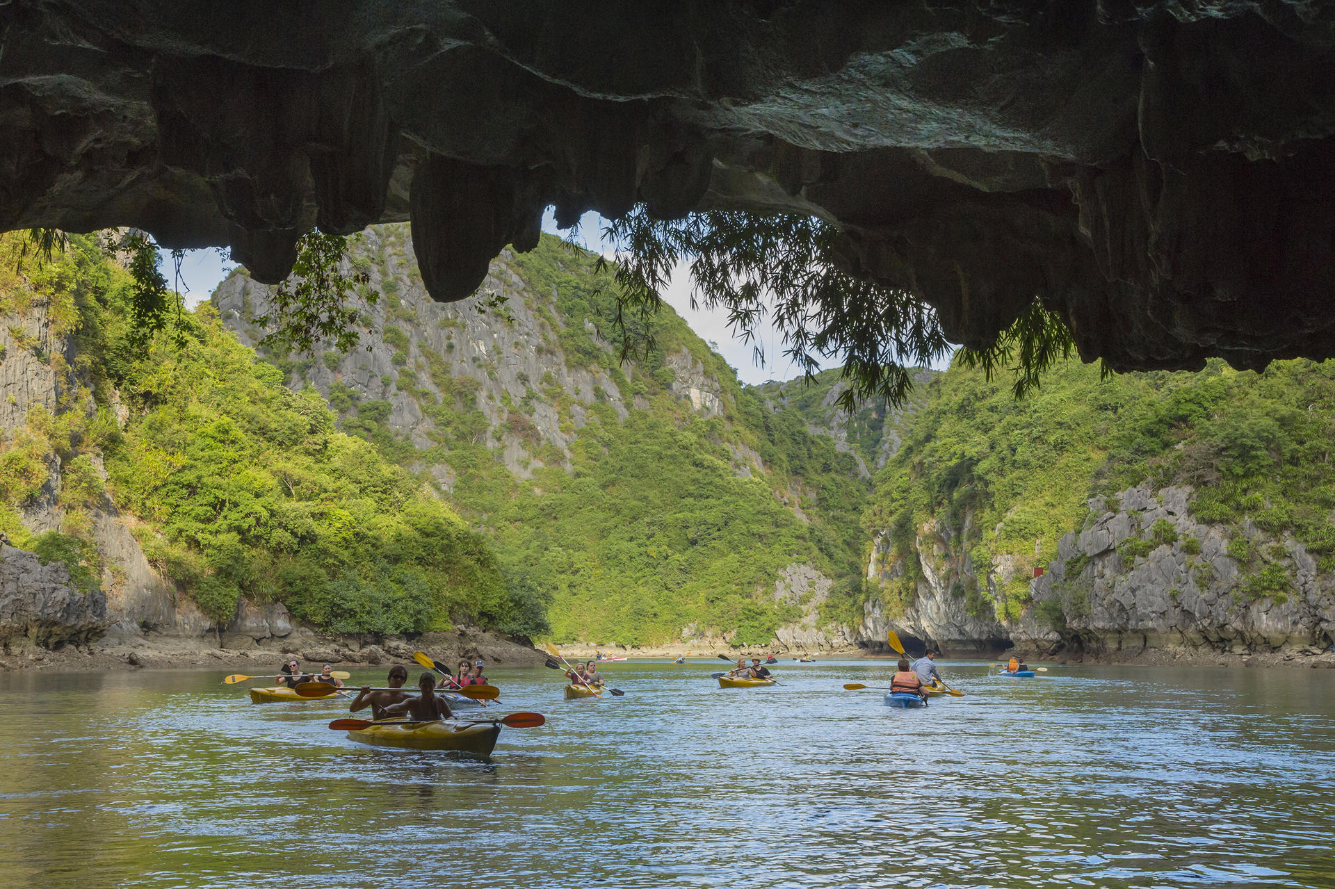 Cozy Olympus Day Cruise: Ha Long Bay, Sung Sot, Ti Top - Thumbnail 22