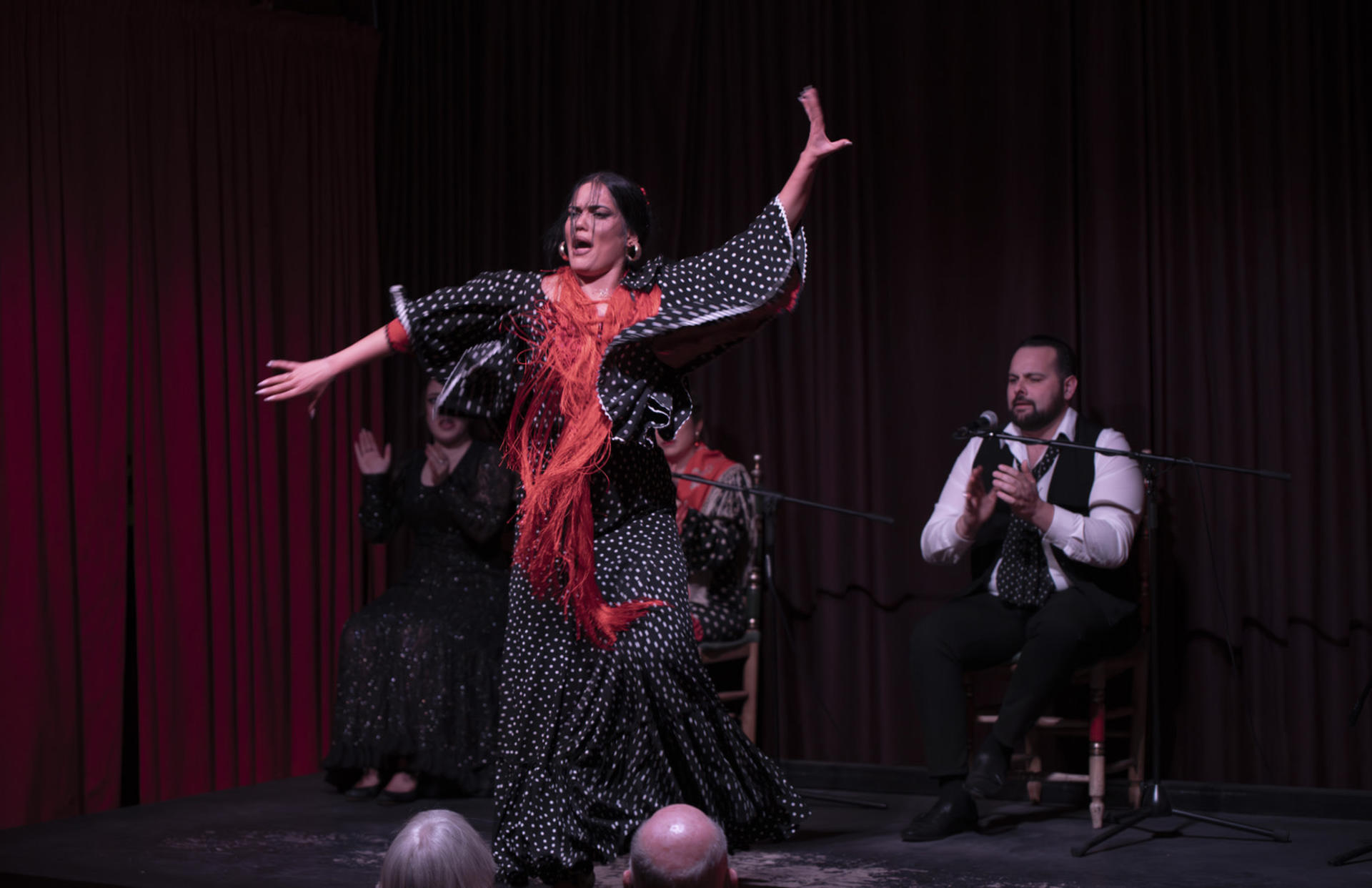 Flamenco Show Ticket at Palau Dalmases in Barcelona - Image 1