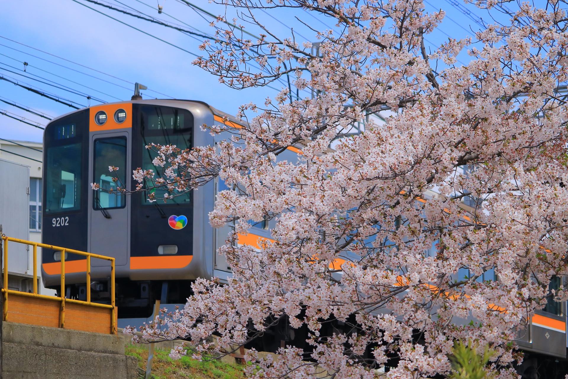 Port Liner & Hanshin 1-Day PASS - Thumbnail 4