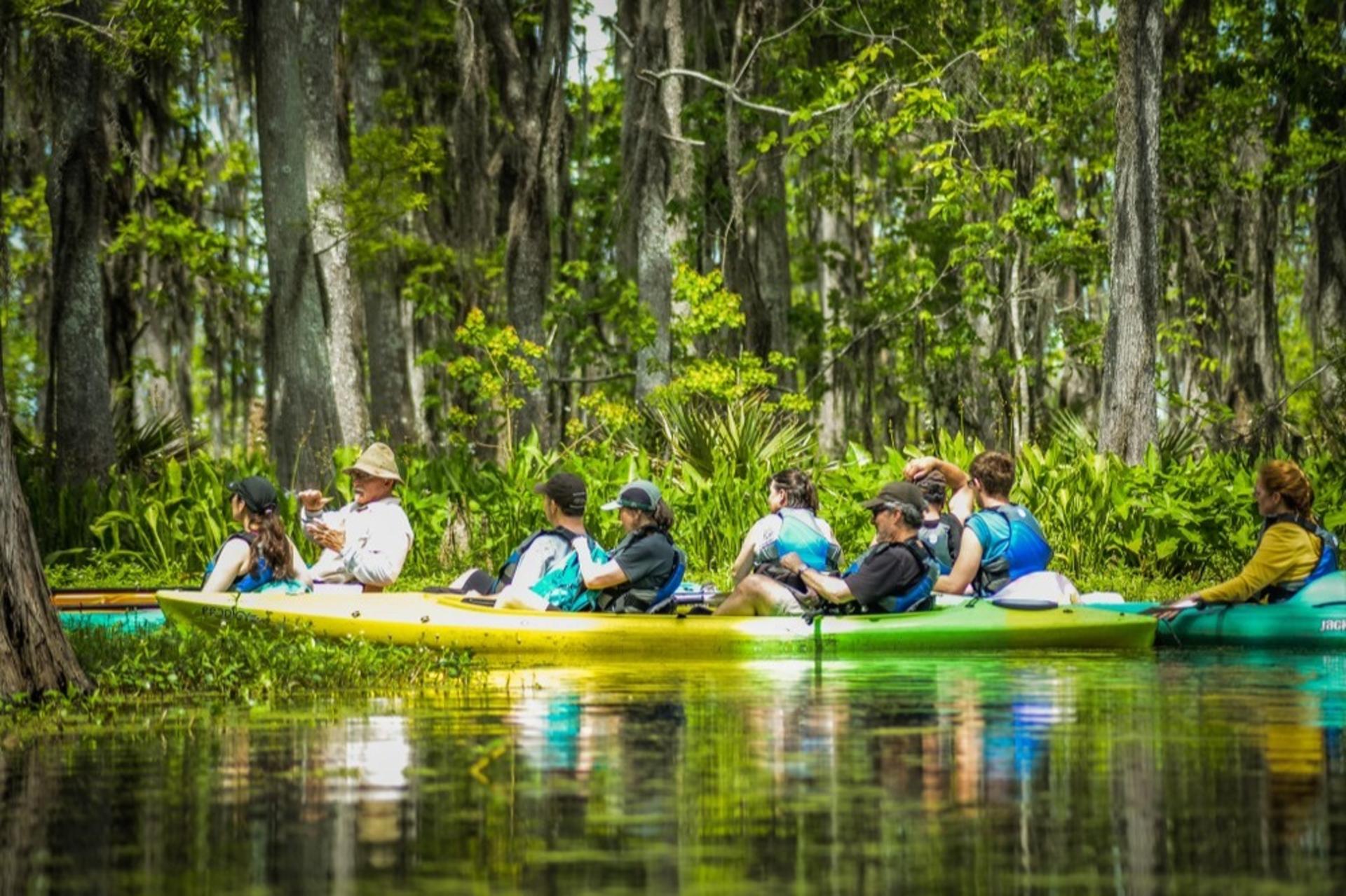 Manchac Magic Kayak Tour - Thumbnail 4