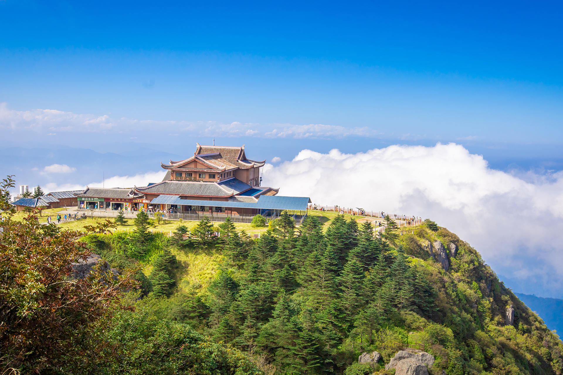 Chengdu Mount Emei/Leshan Giant Buddha private car one-day tour - Thumbnail 5